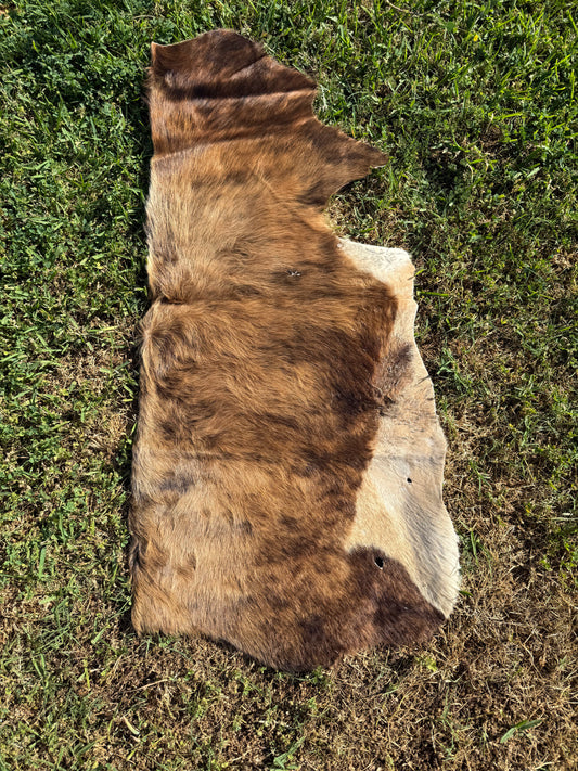 Craft hide side - 41