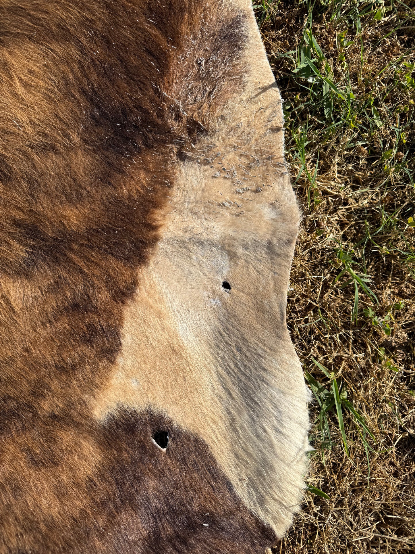 Craft hide side - 41