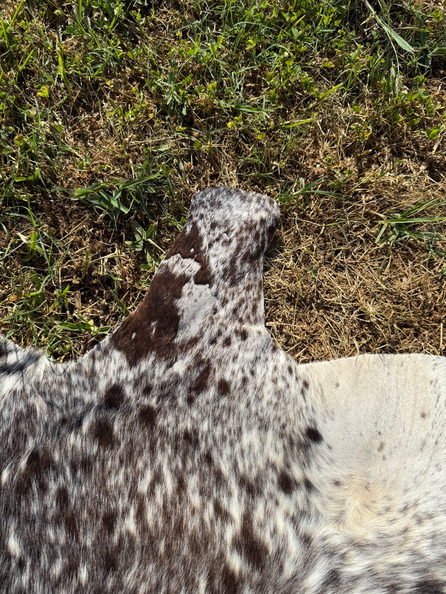 Craft hide side - 45