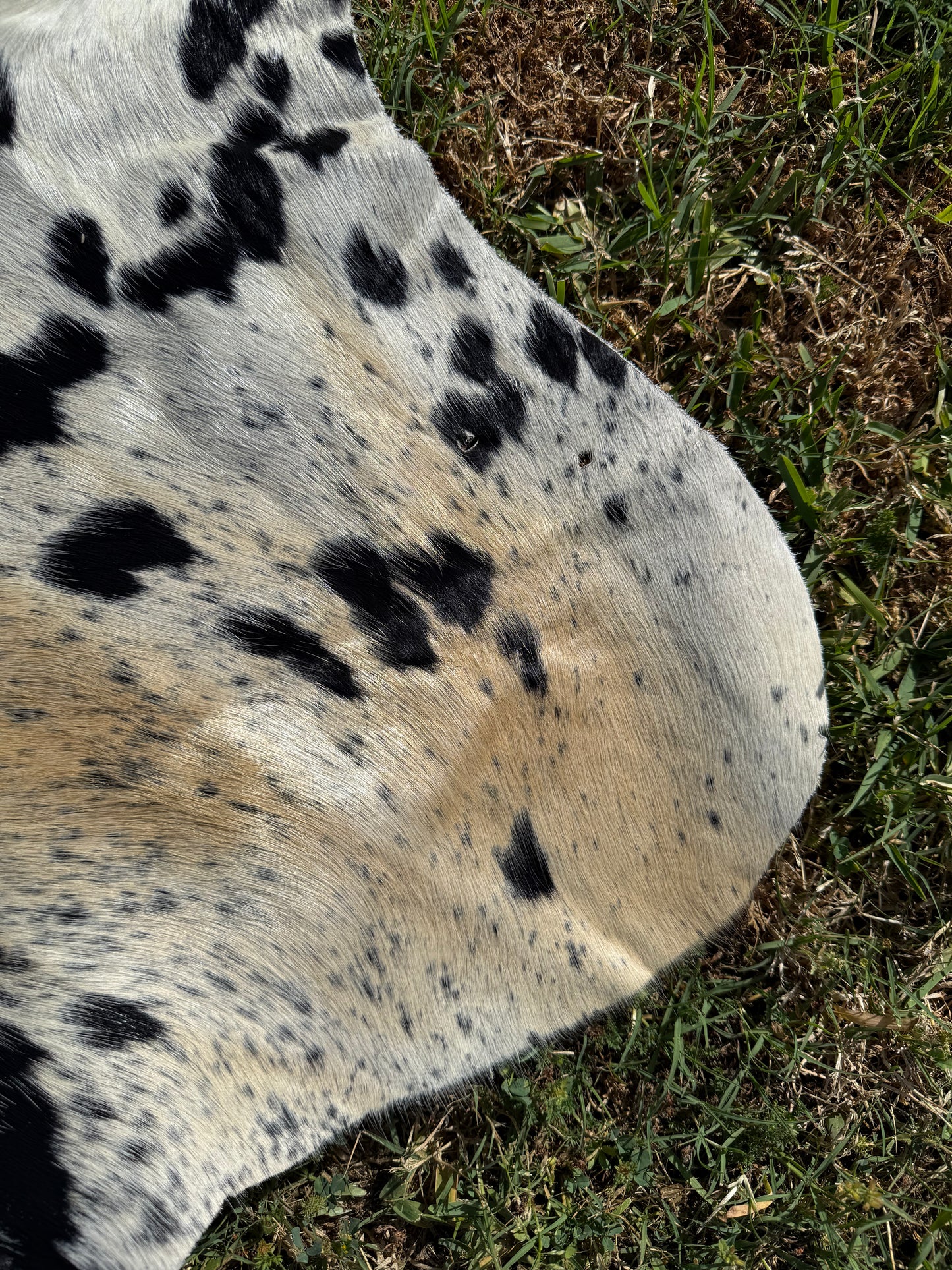 Craft hide side - 47