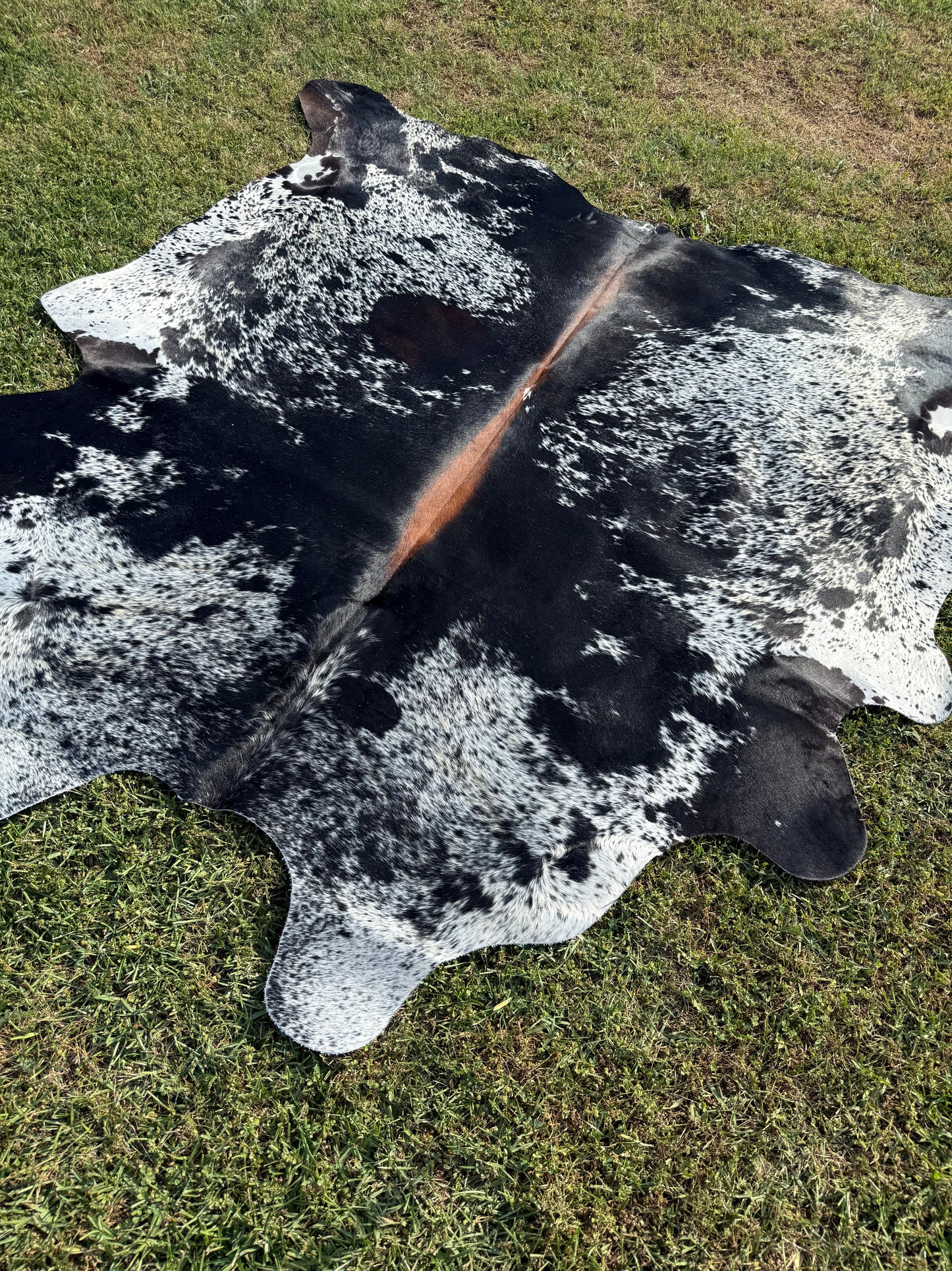 Cowhide Rug 341