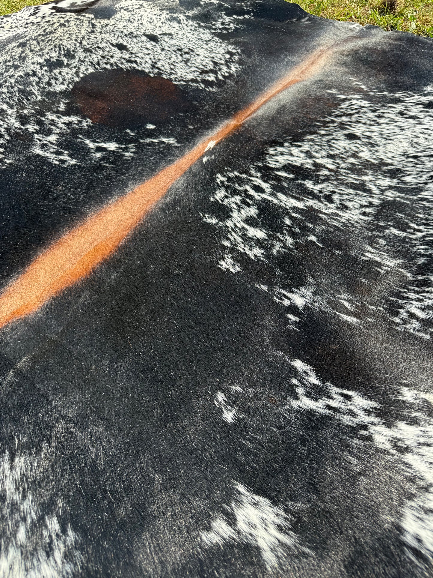 Cowhide Rug 341