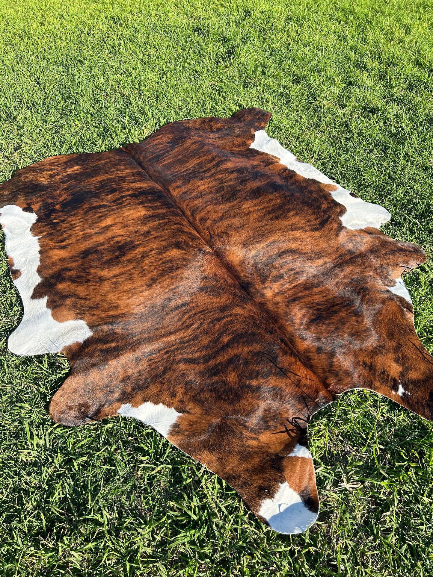 Cowhide Rug 204