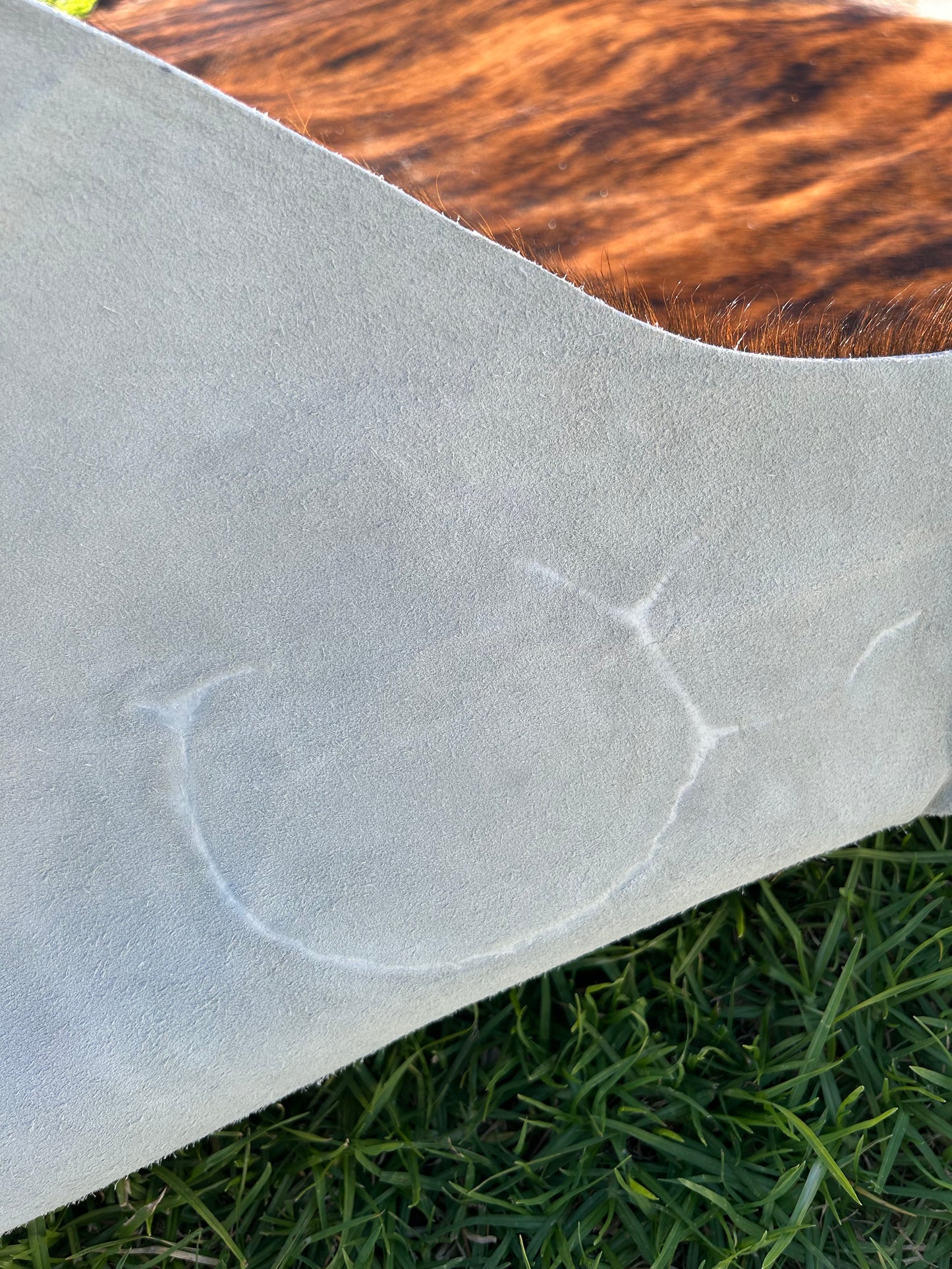 Cowhide Rug 204