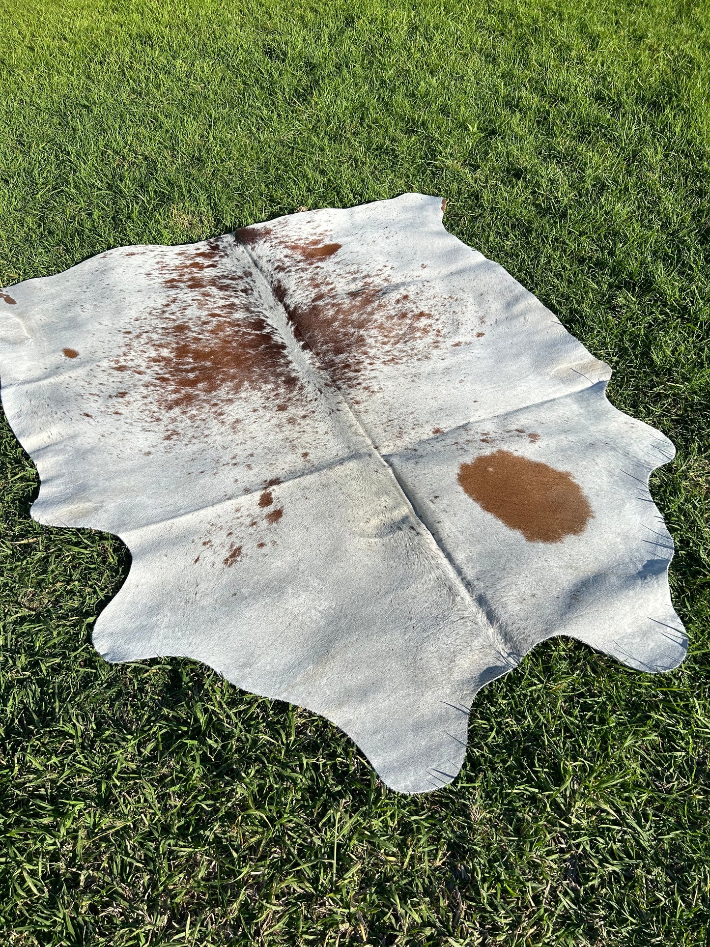 Cowhide Rug 205