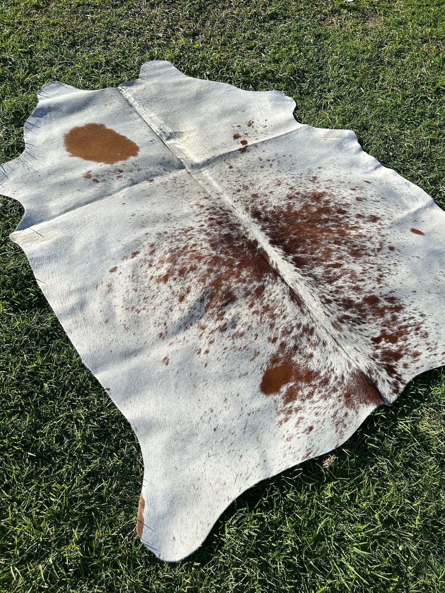 Cowhide Rug 205