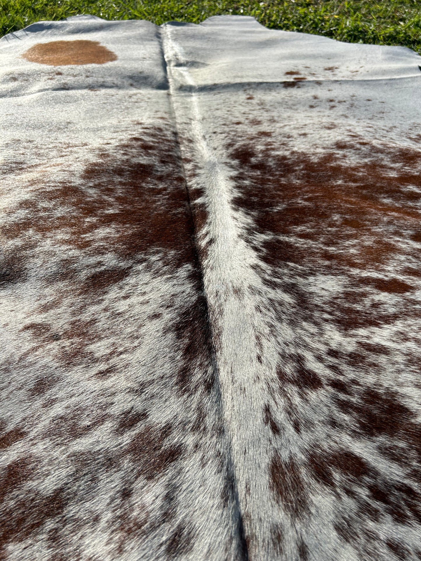 Cowhide Rug 205