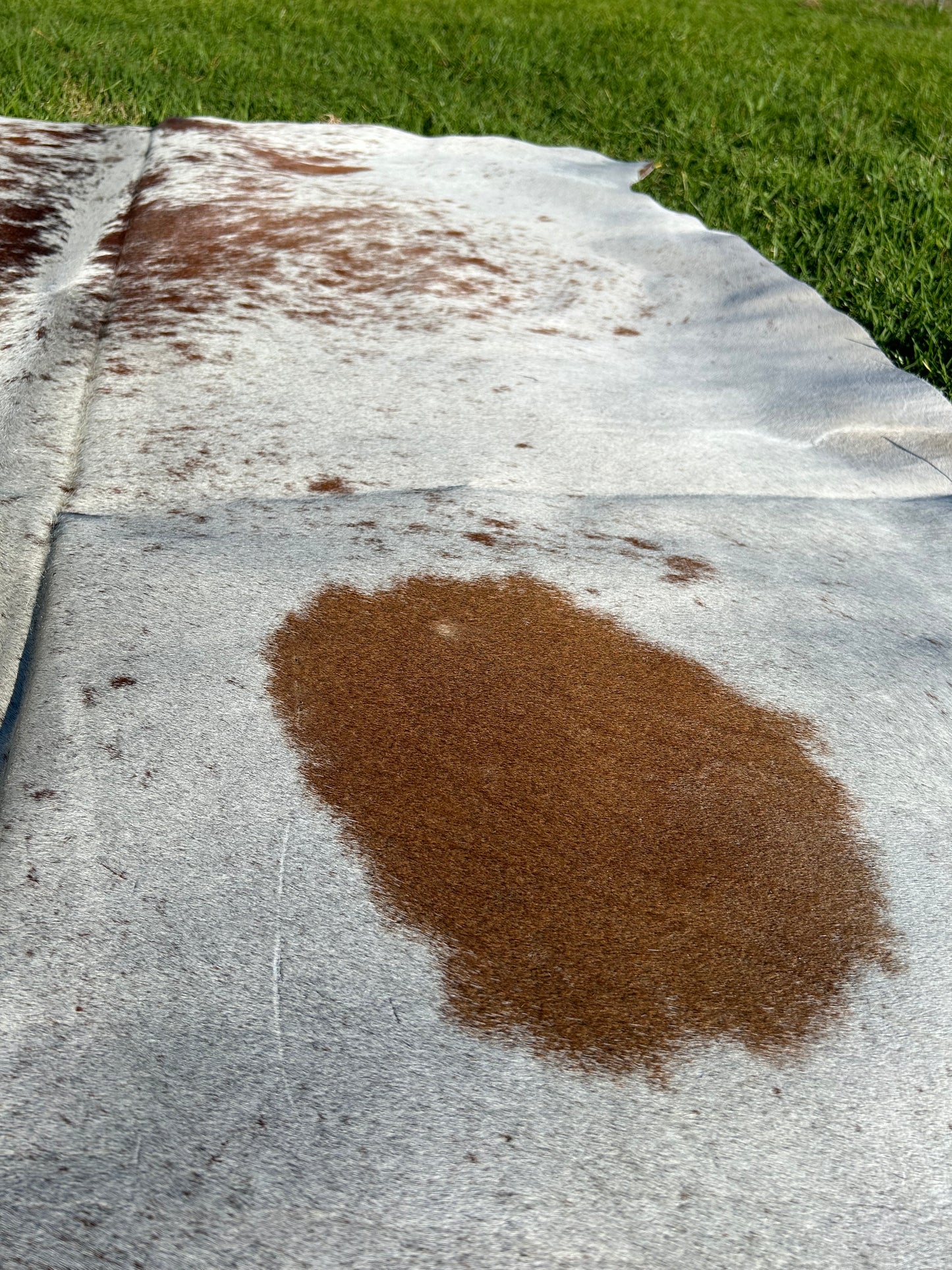 Cowhide Rug 205