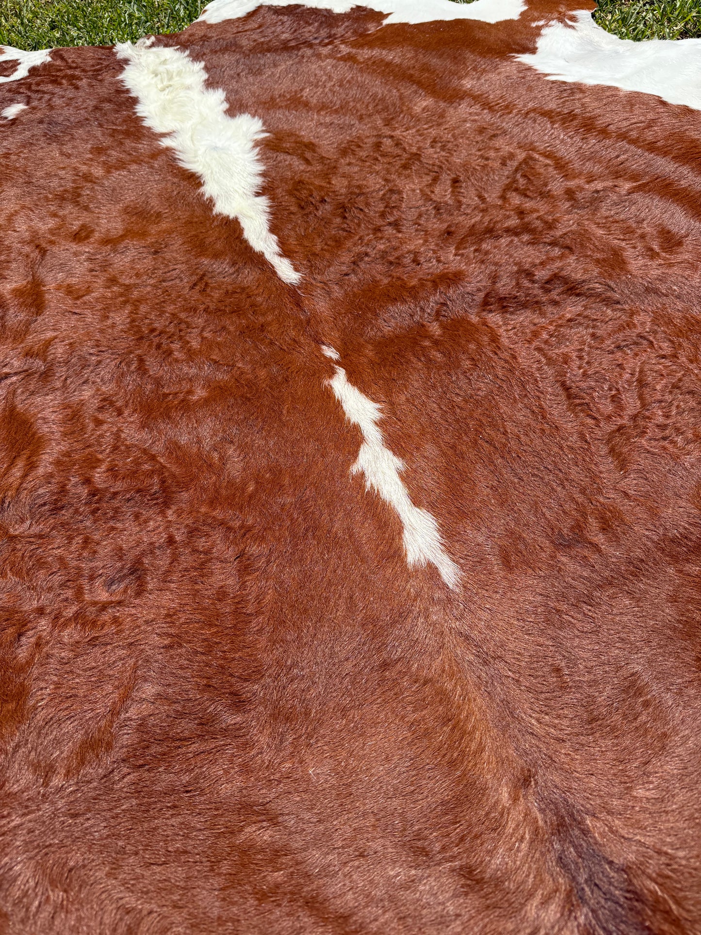 Cowhide Rug 369