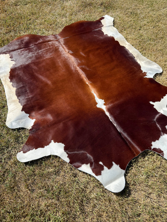Cowhide Rug 386