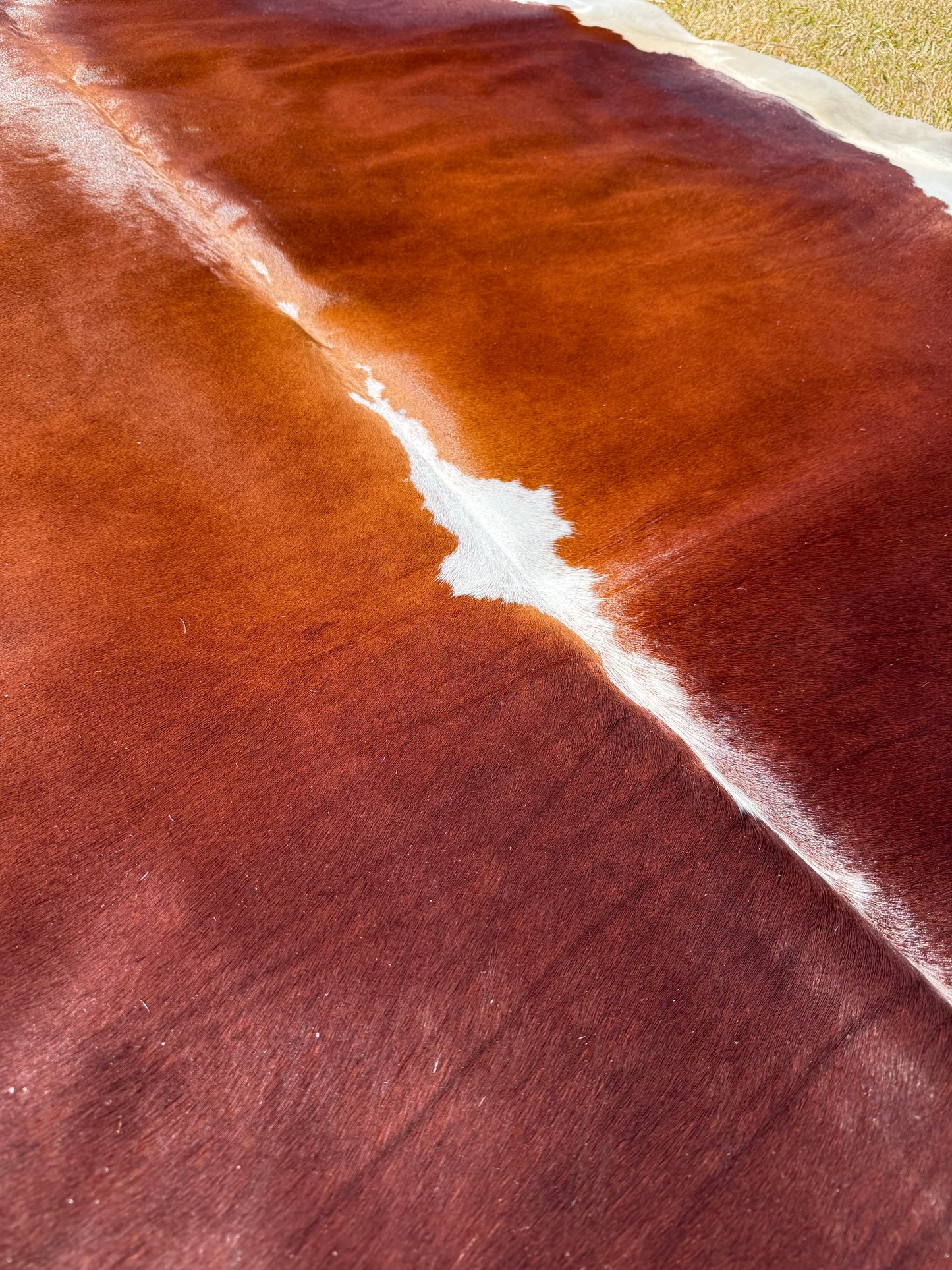 Cowhide Rug 386