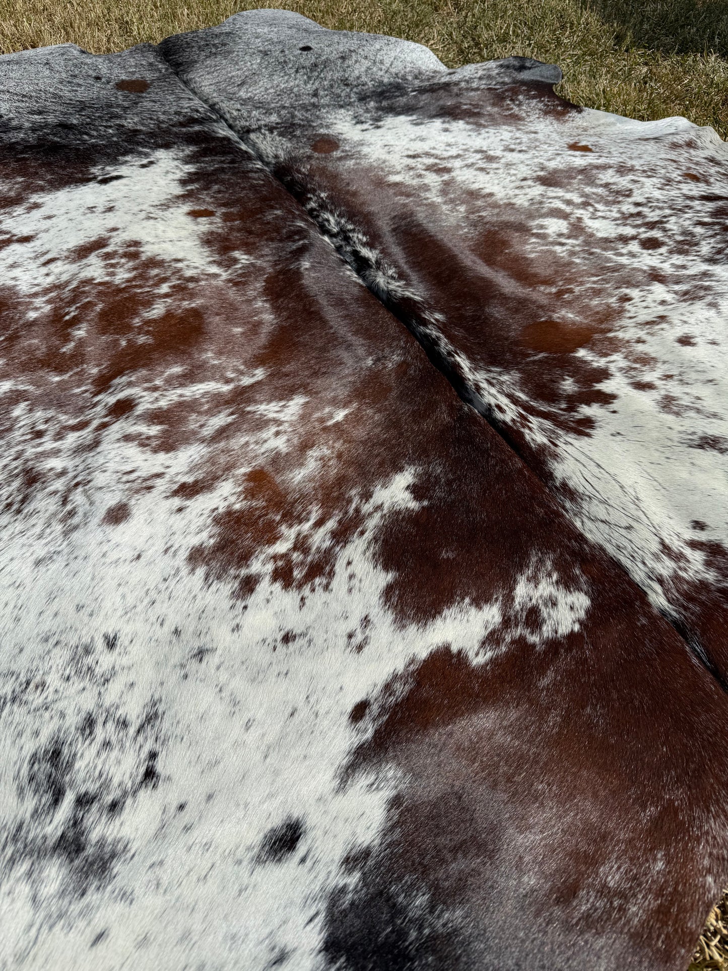 Cowhide Rug 389