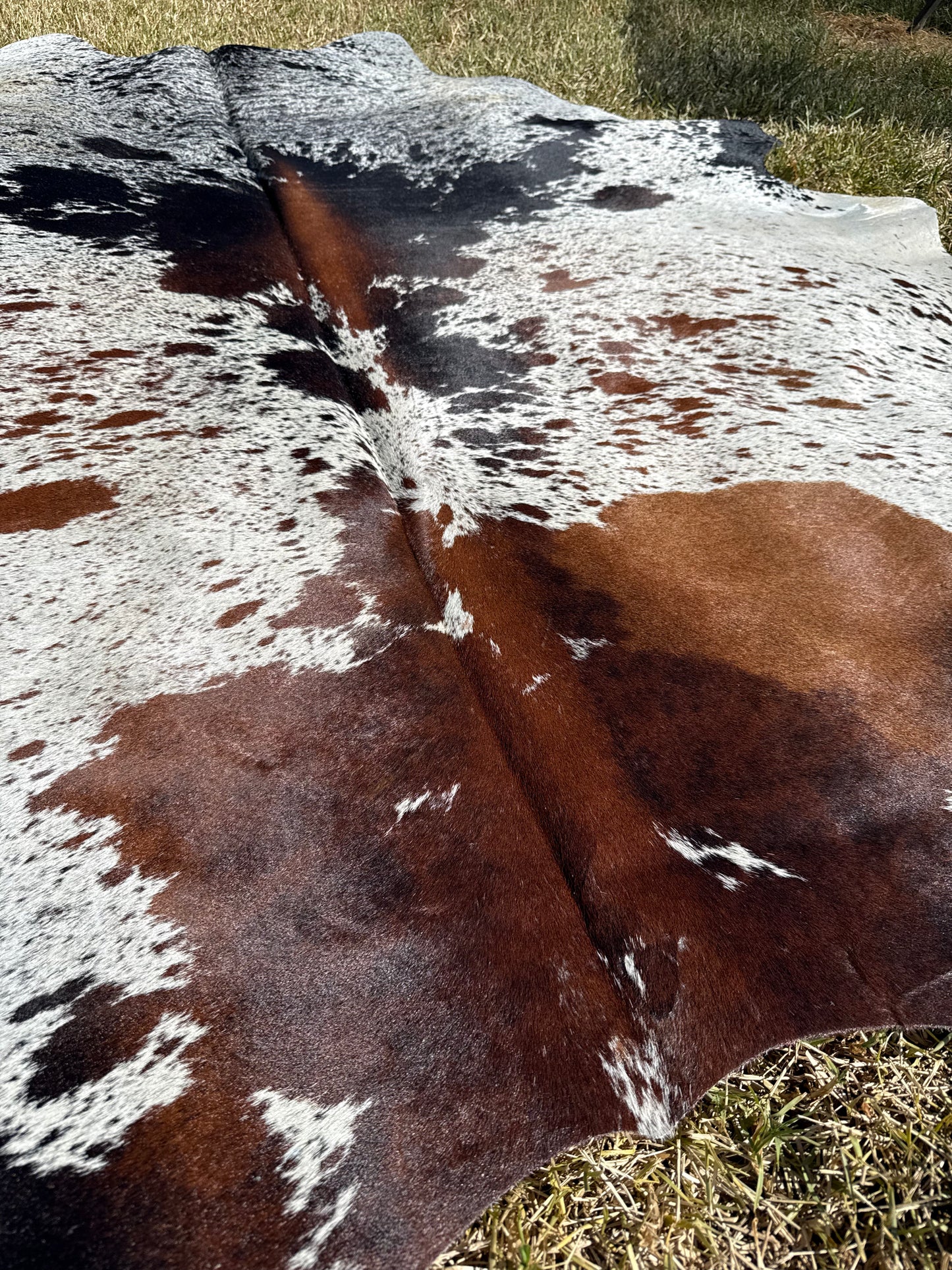 Cowhide Rug 391