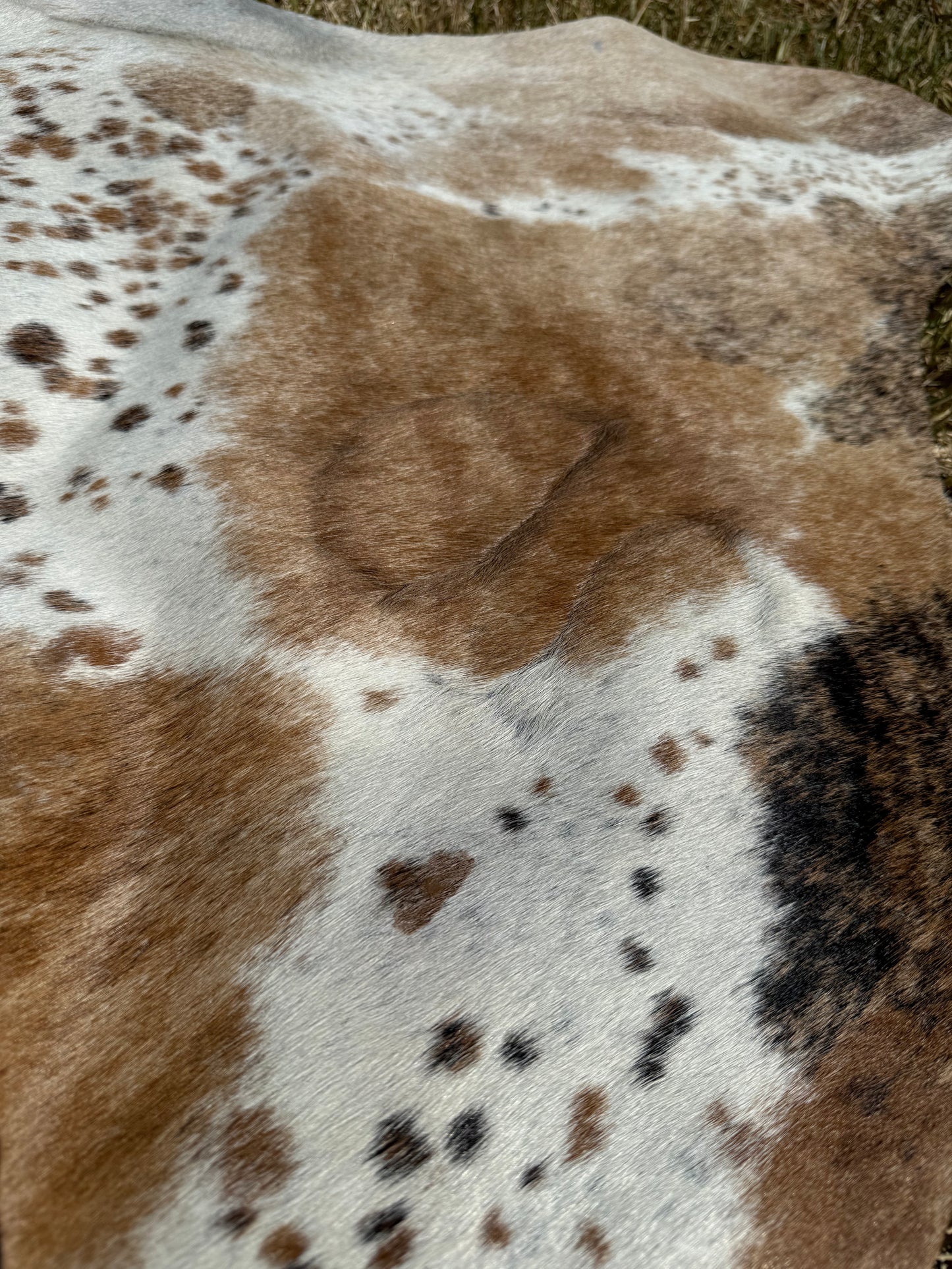 Cowhide Rug 394