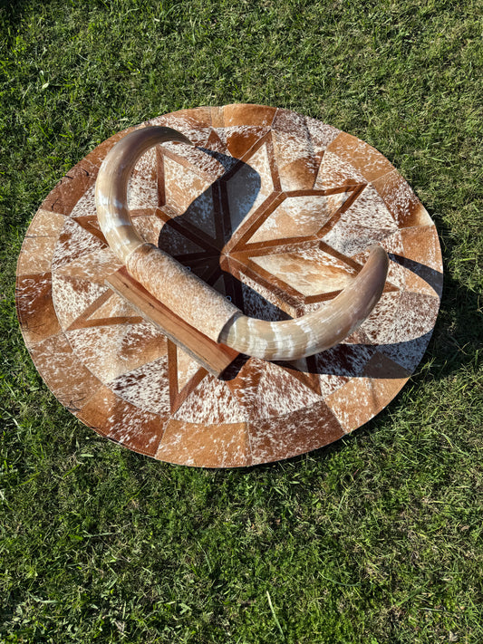 Large Mounted Longhorns