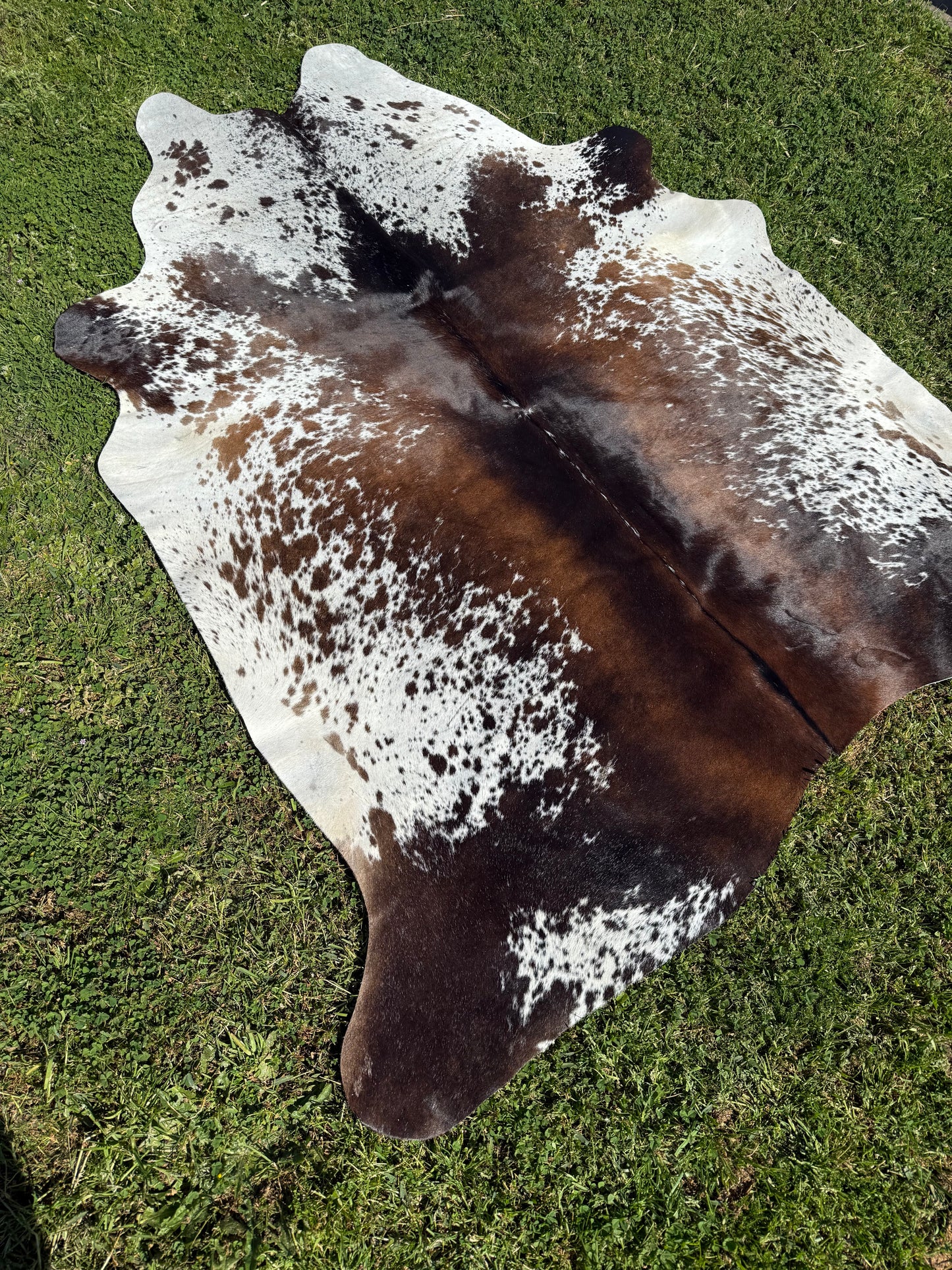 Cowhide Rug 333