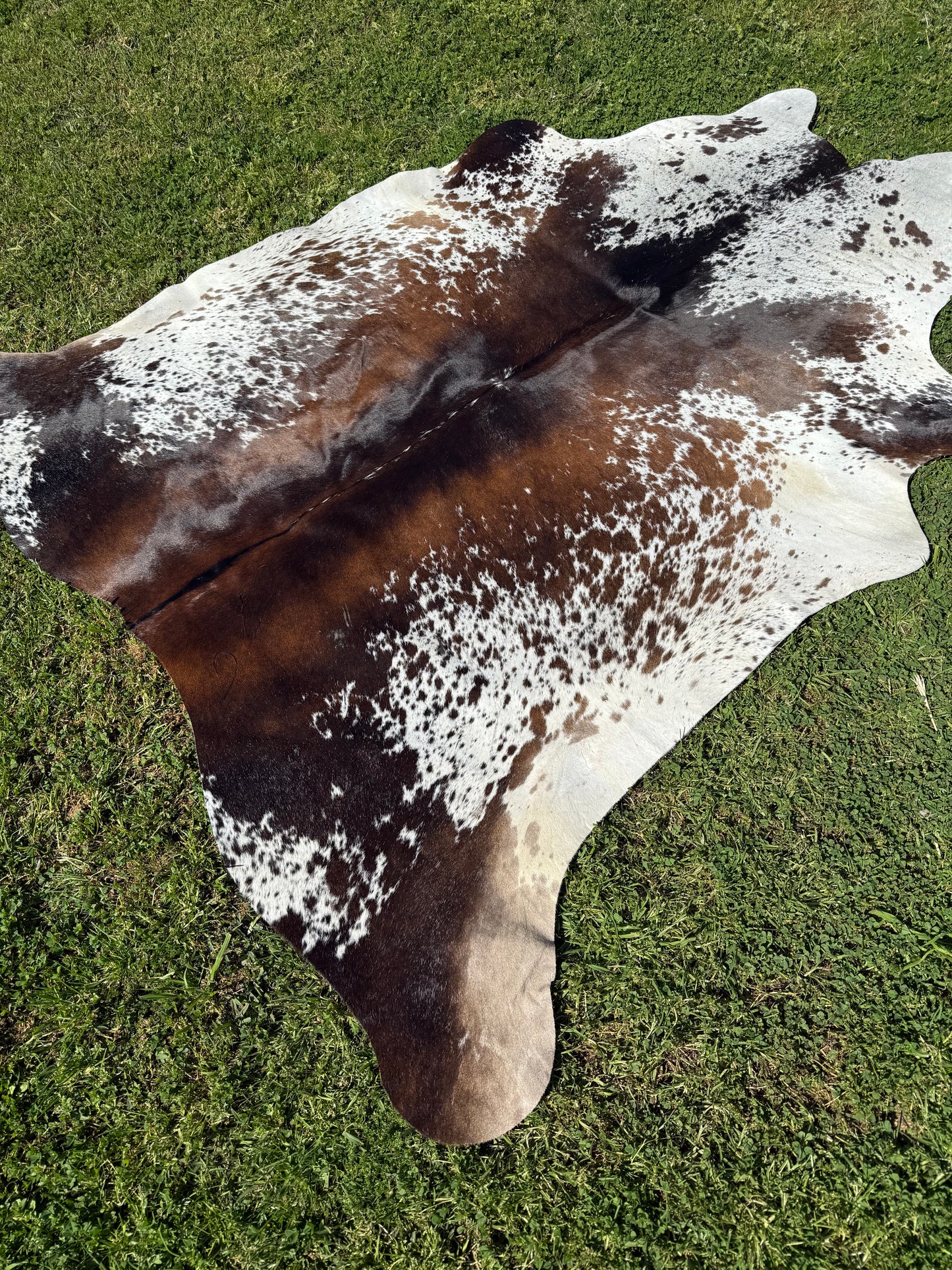 Cowhide Rug 333
