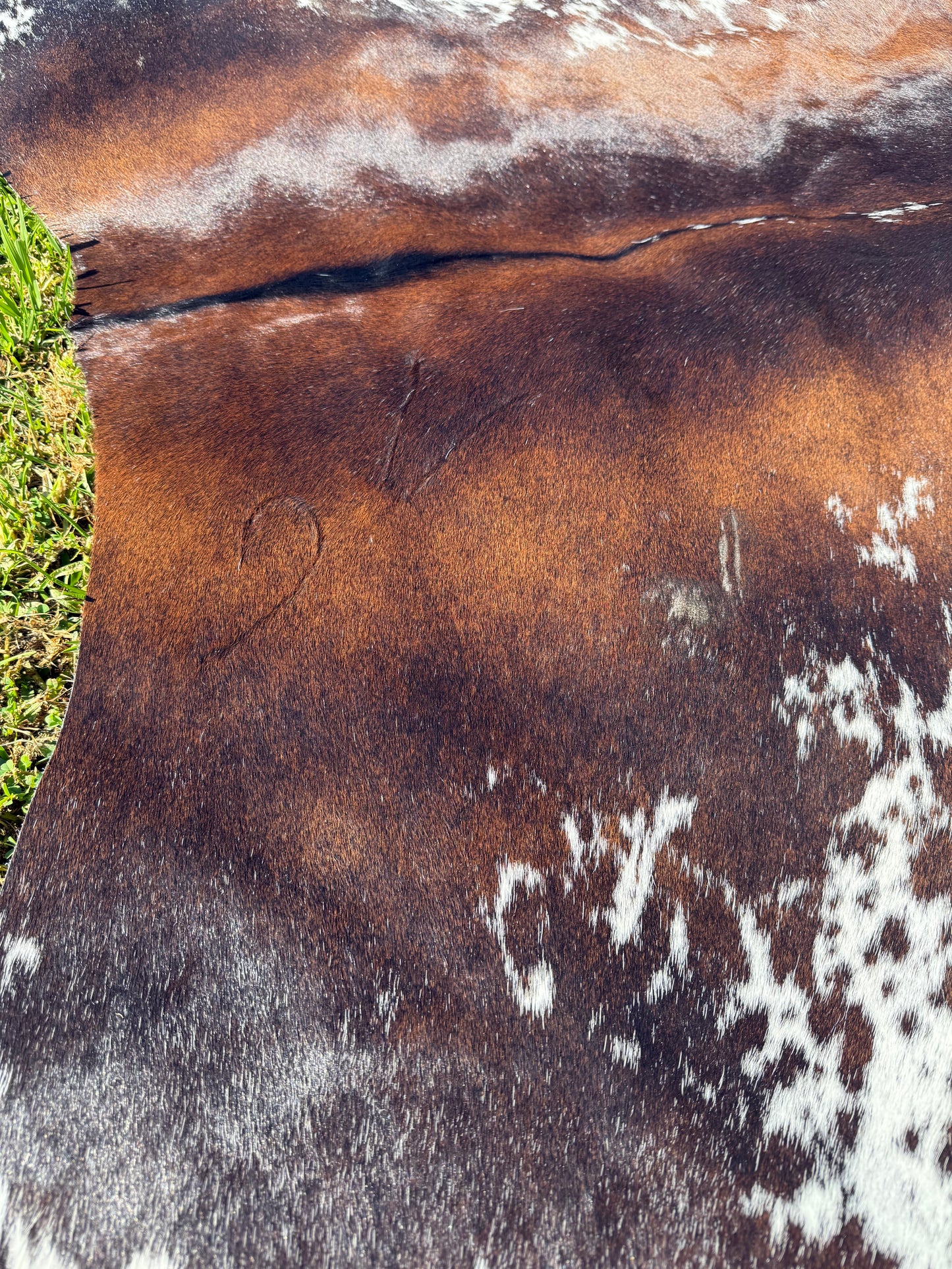 Cowhide Rug 333