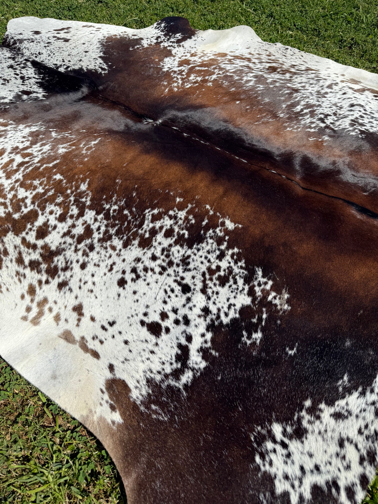 Cowhide Rug 333