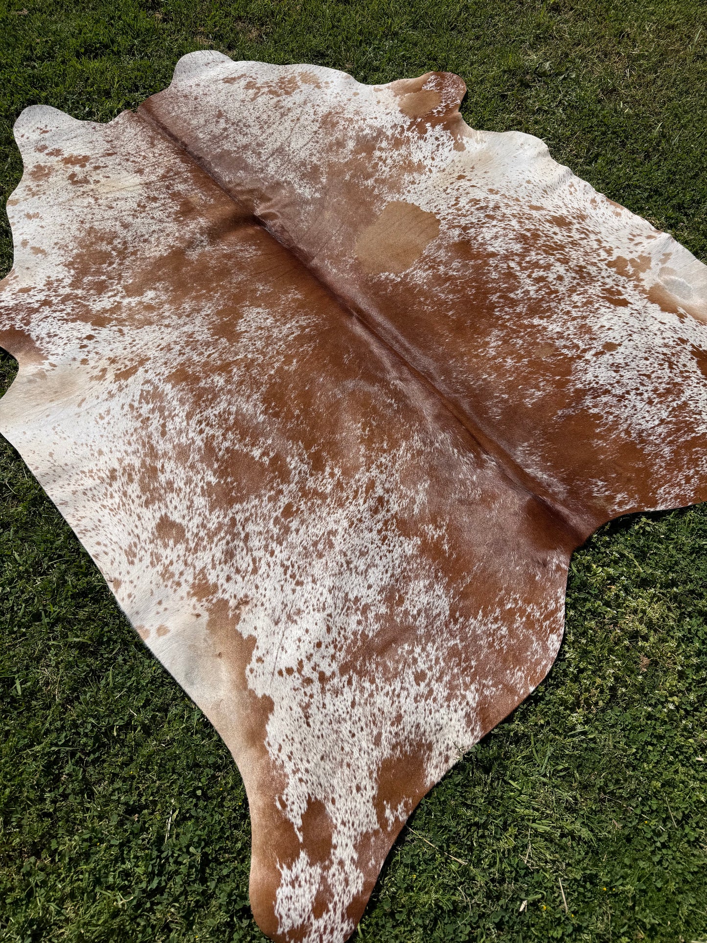 Cowhide Rug 334