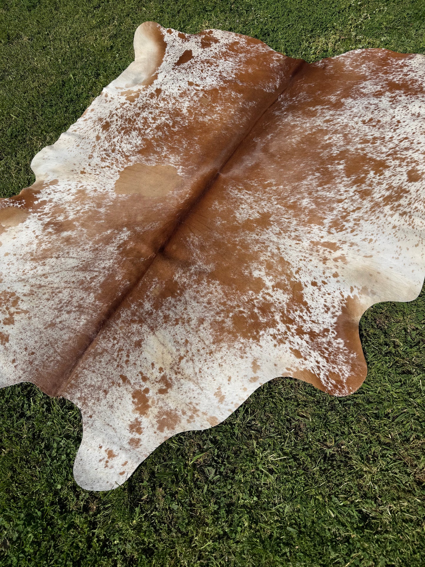 Cowhide Rug 334