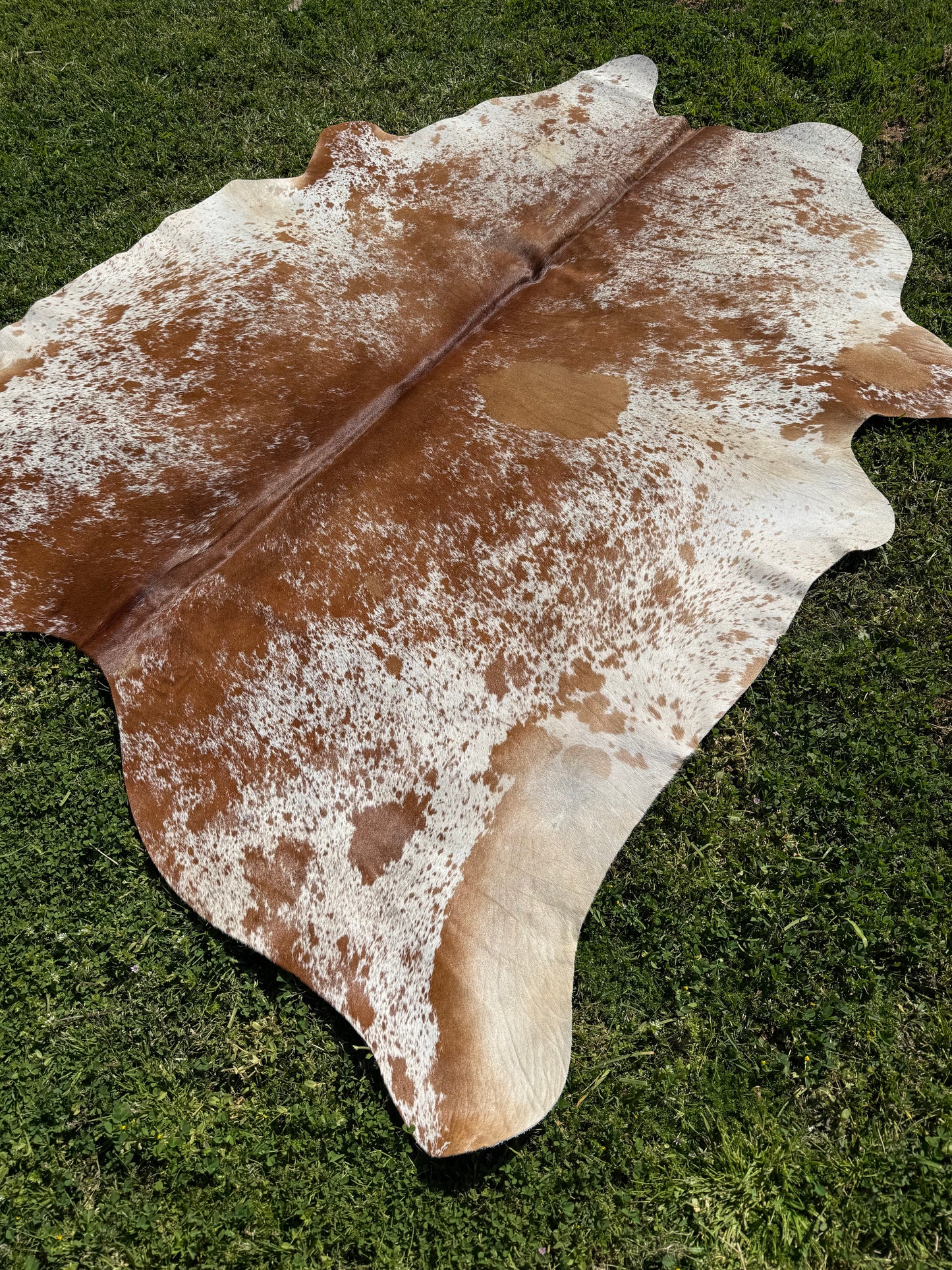 Cowhide Rug 334