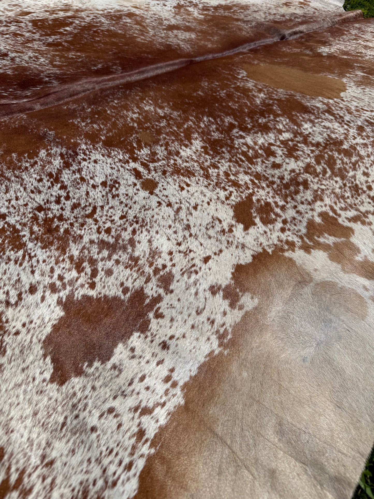 Cowhide Rug 334