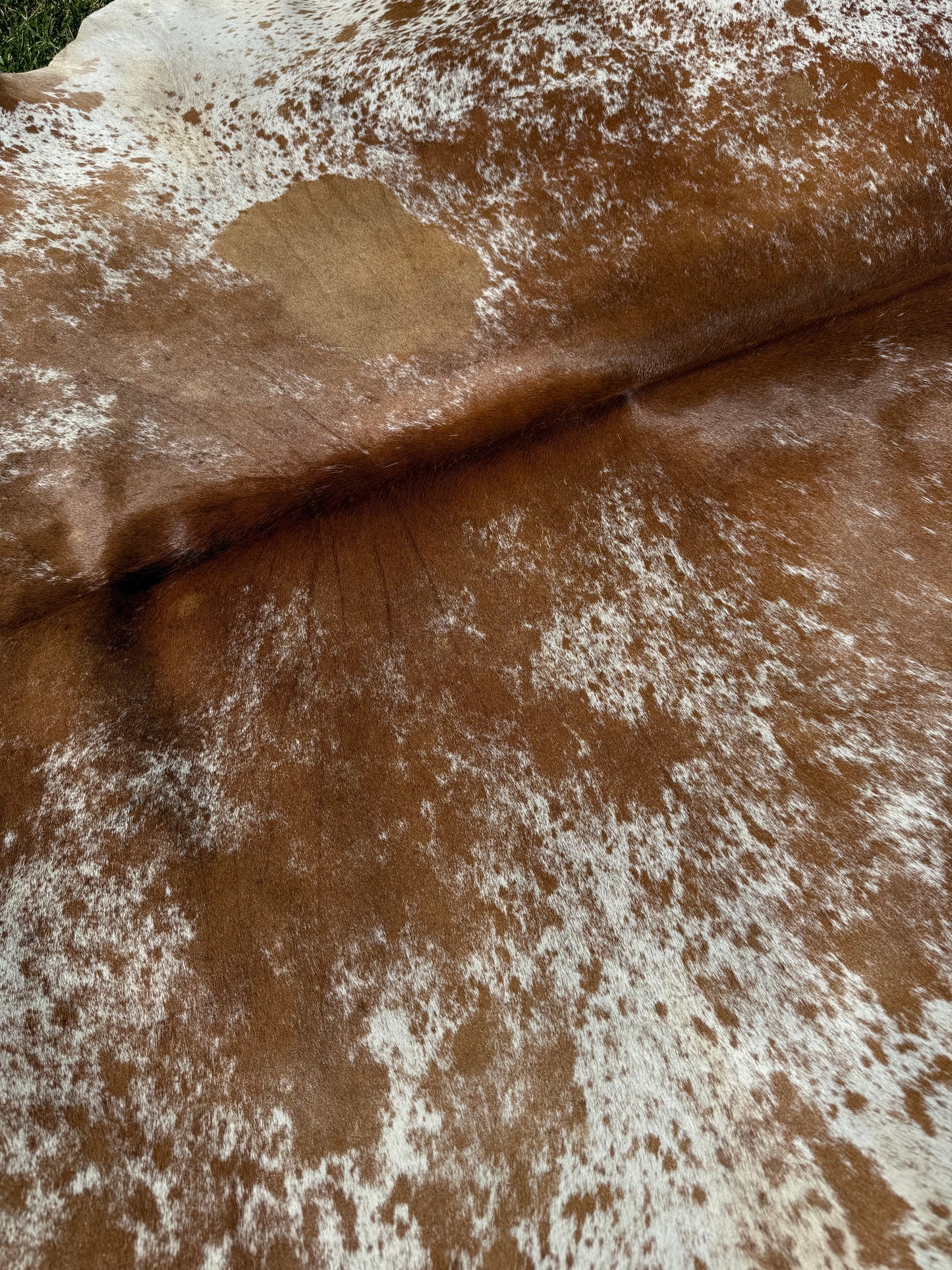 Cowhide Rug 334