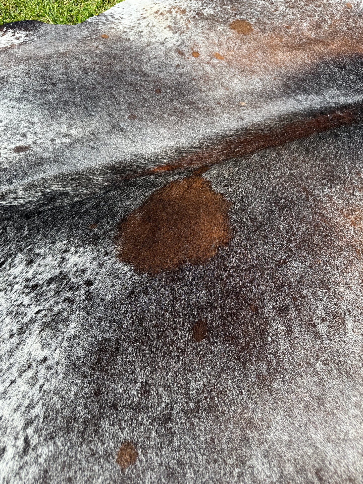 Cowhide Rug 335