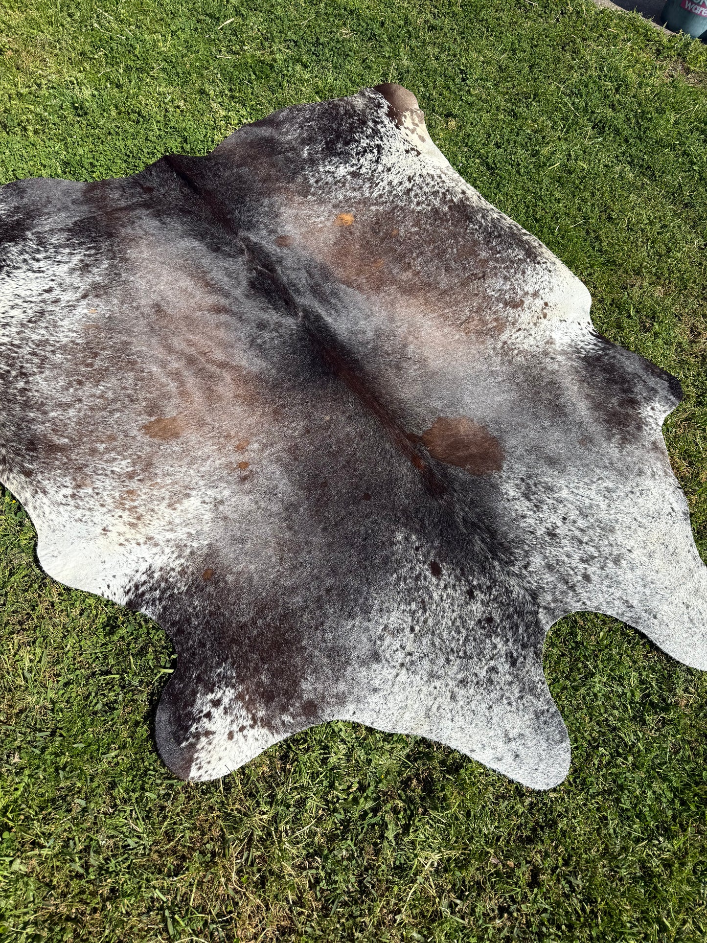 Cowhide Rug 335