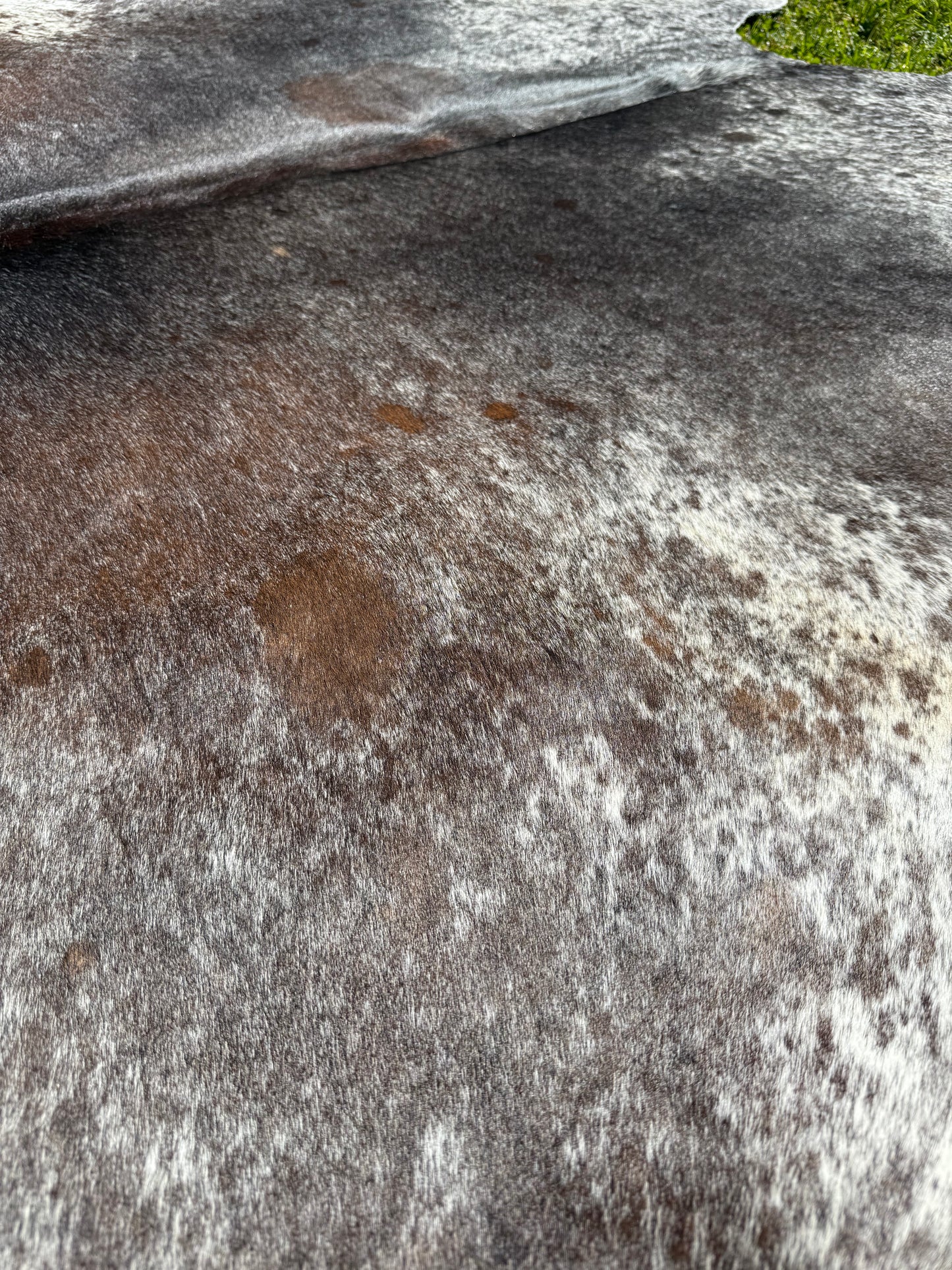 Cowhide Rug 335