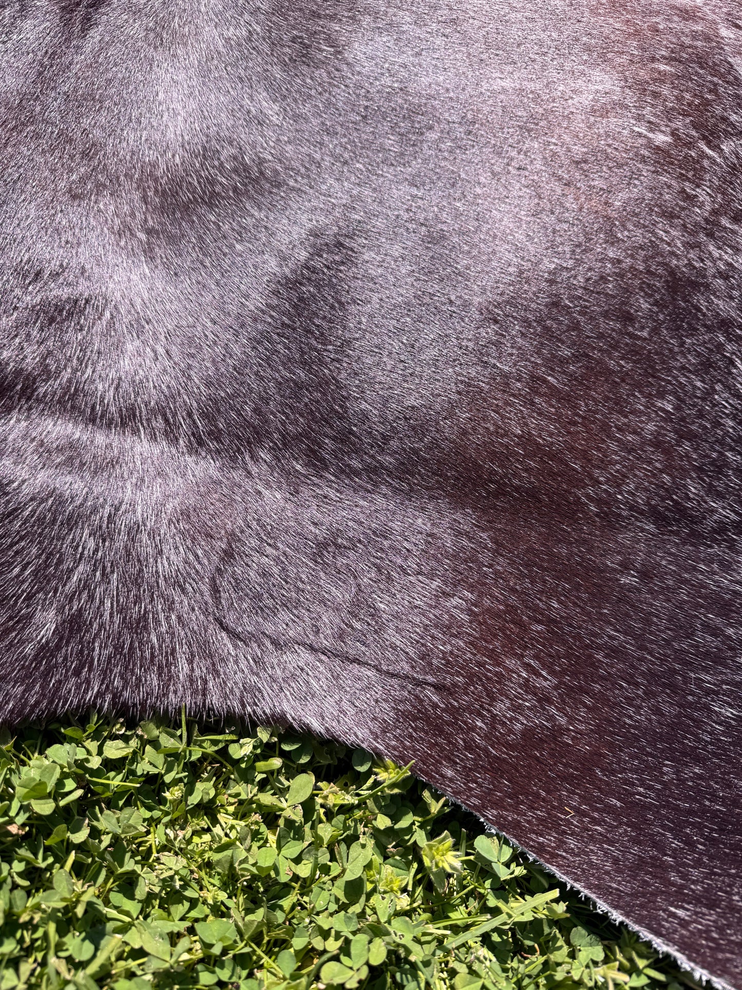 Cowhide Rug 335