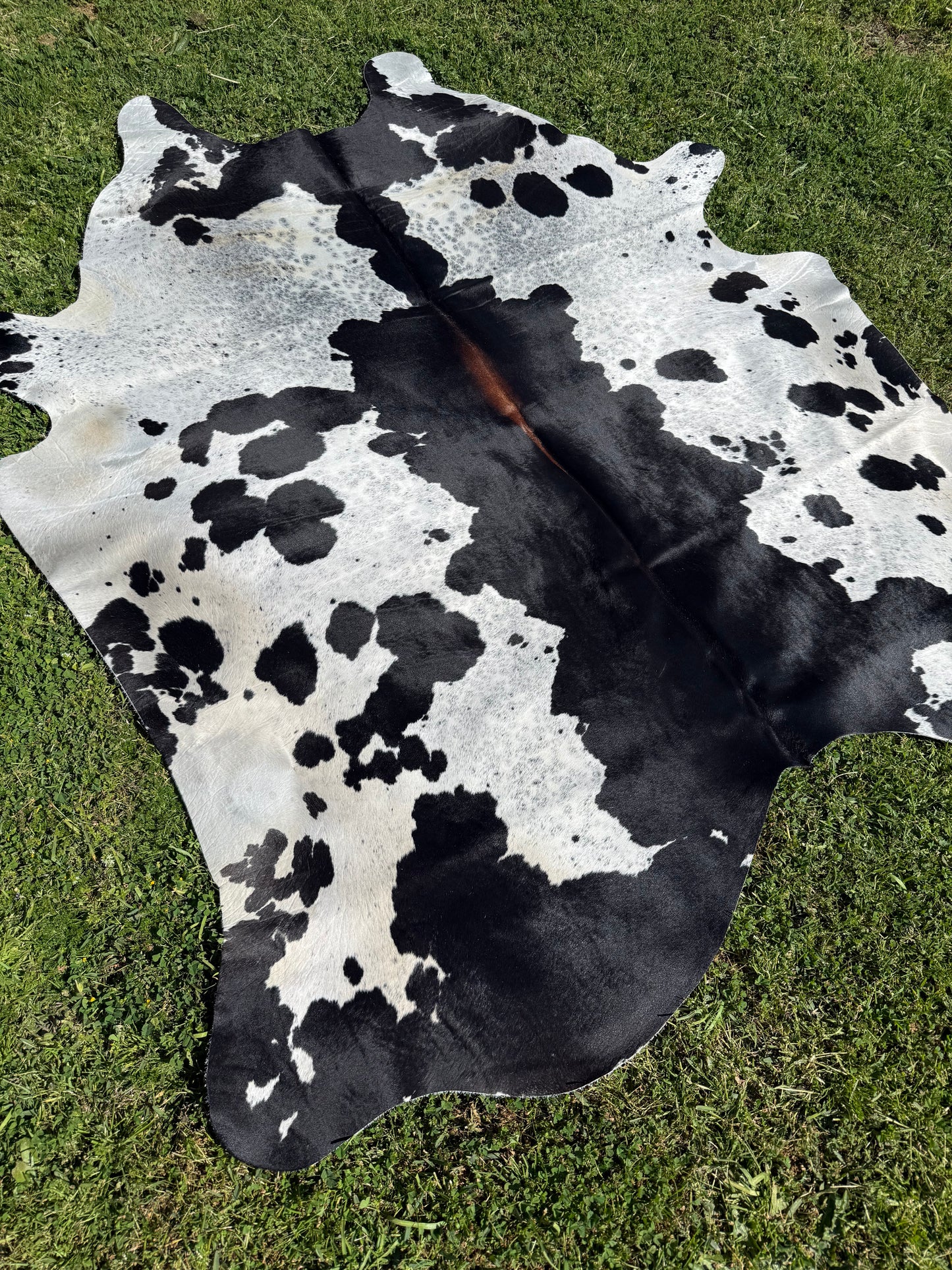 Cowhide Rug 336