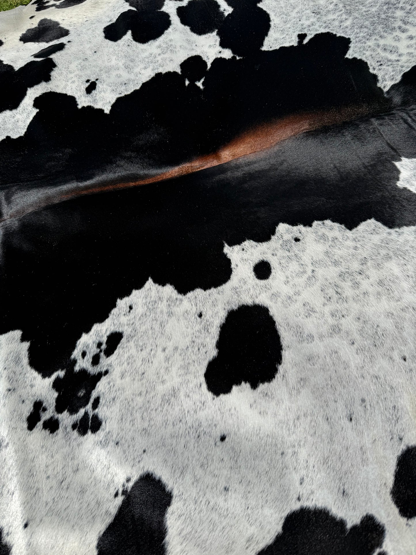 Cowhide Rug 336