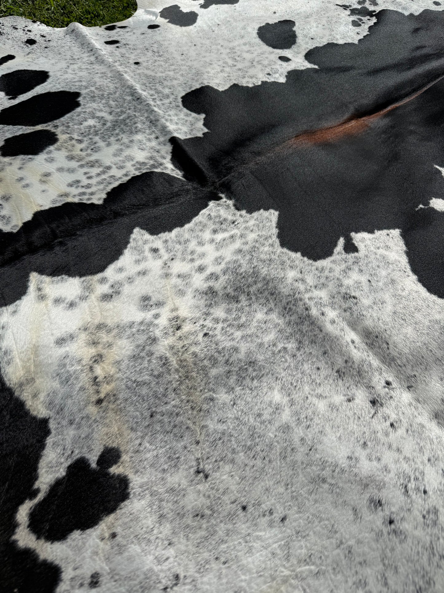 Cowhide Rug 336