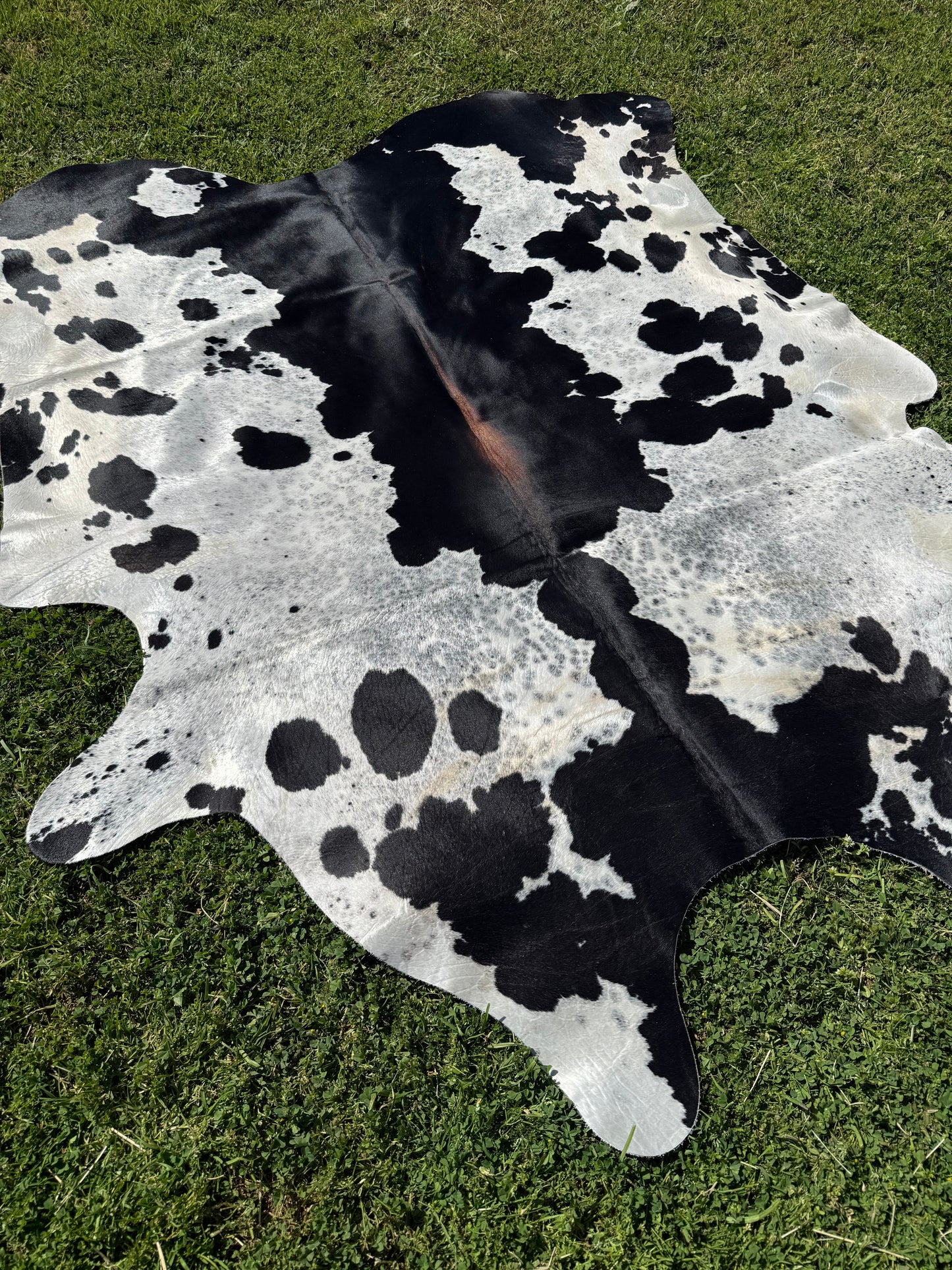 Cowhide Rug 336