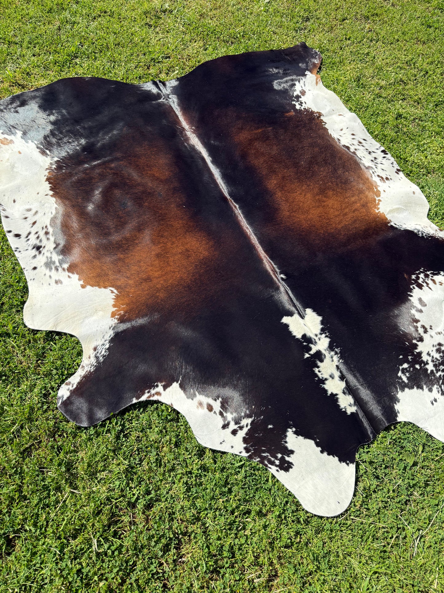 Cowhide Rug 337