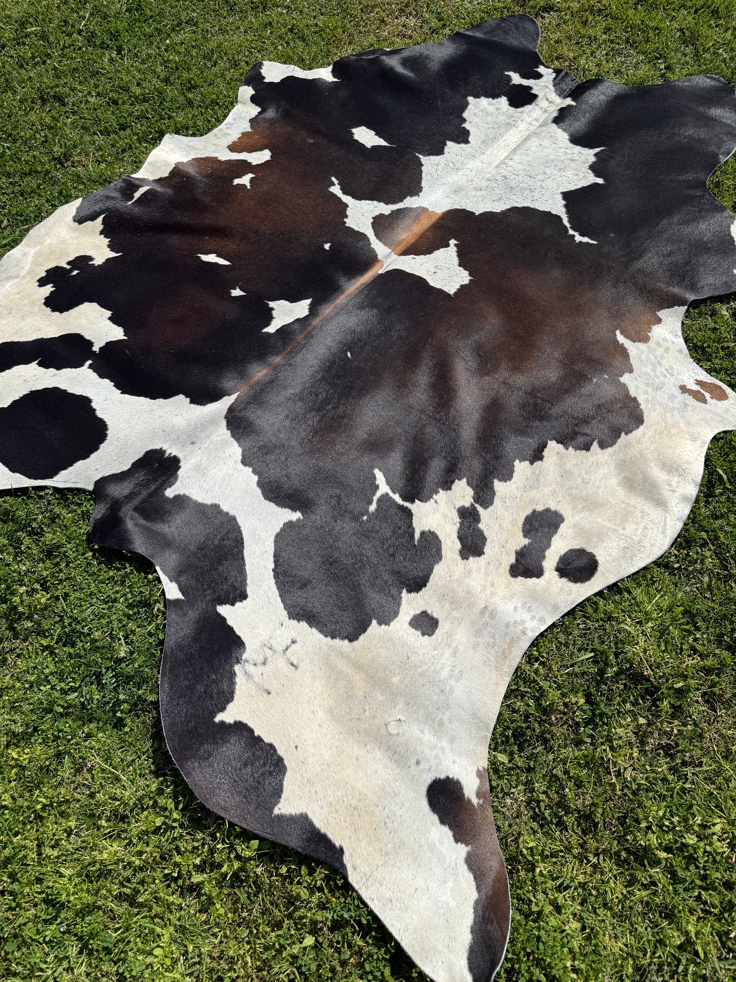 Cowhide Rug 338