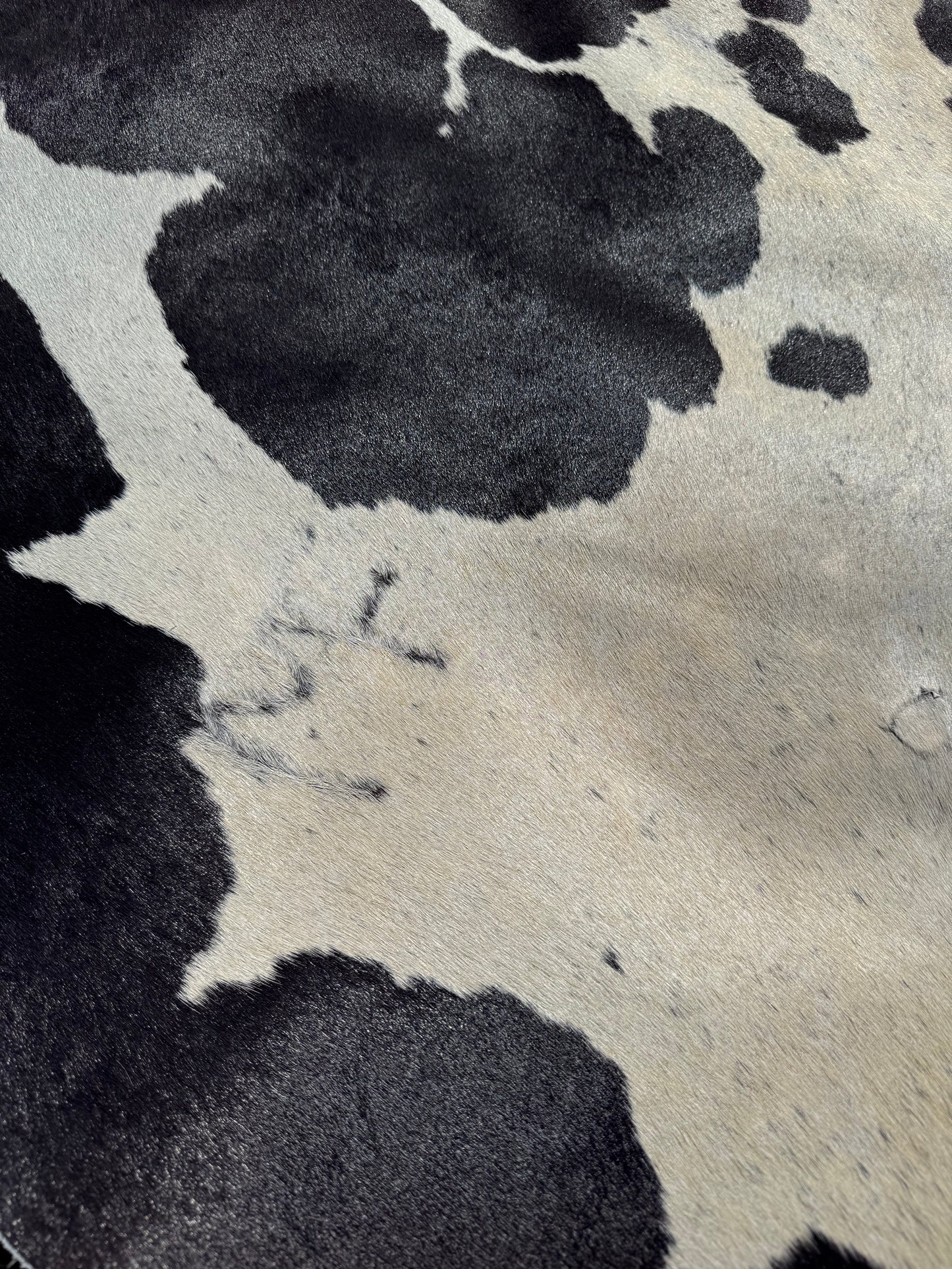 Cowhide Rug 338