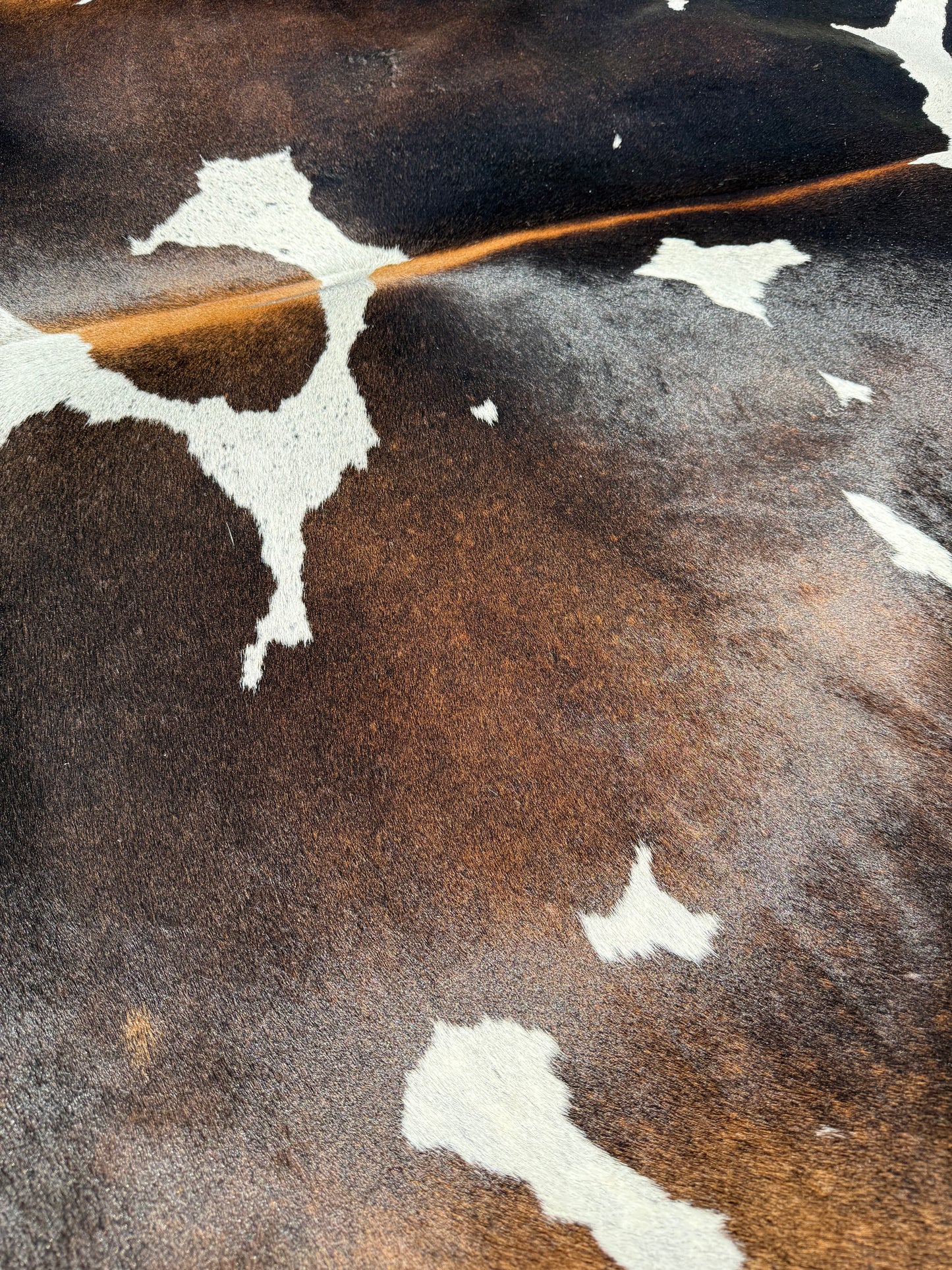 Cowhide Rug 338
