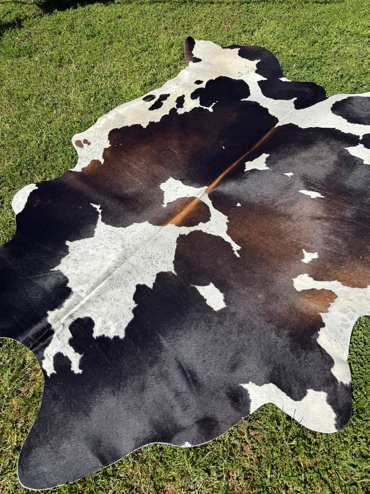 Cowhide Rug 338