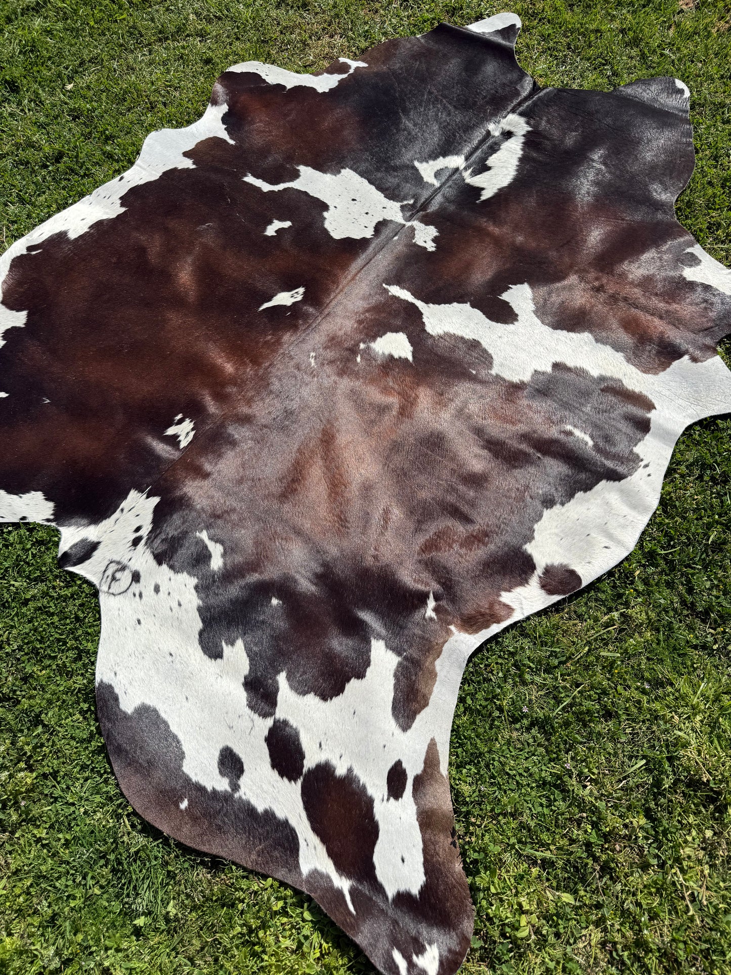 Cowhide Rug 339