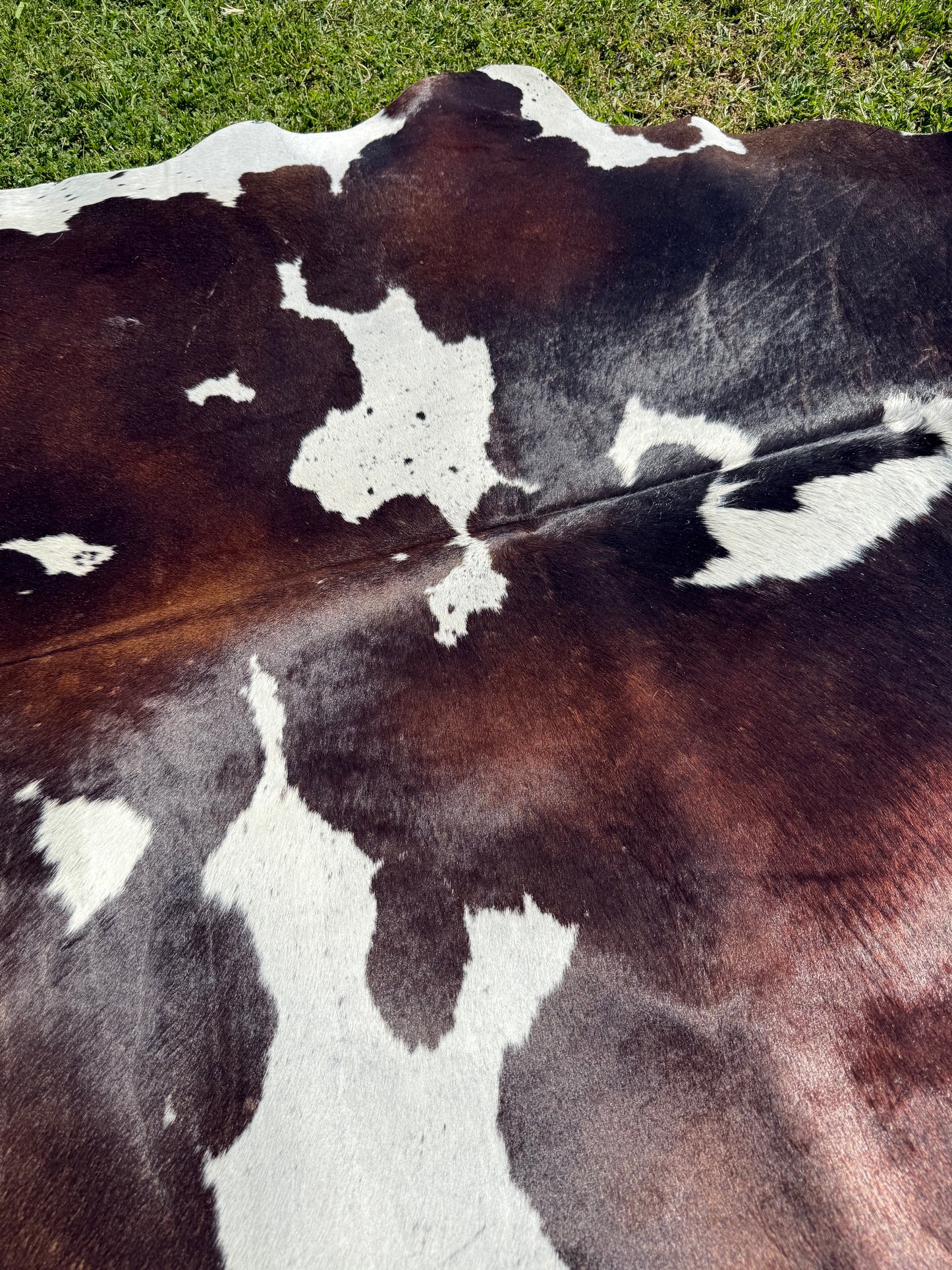 Cowhide Rug 339