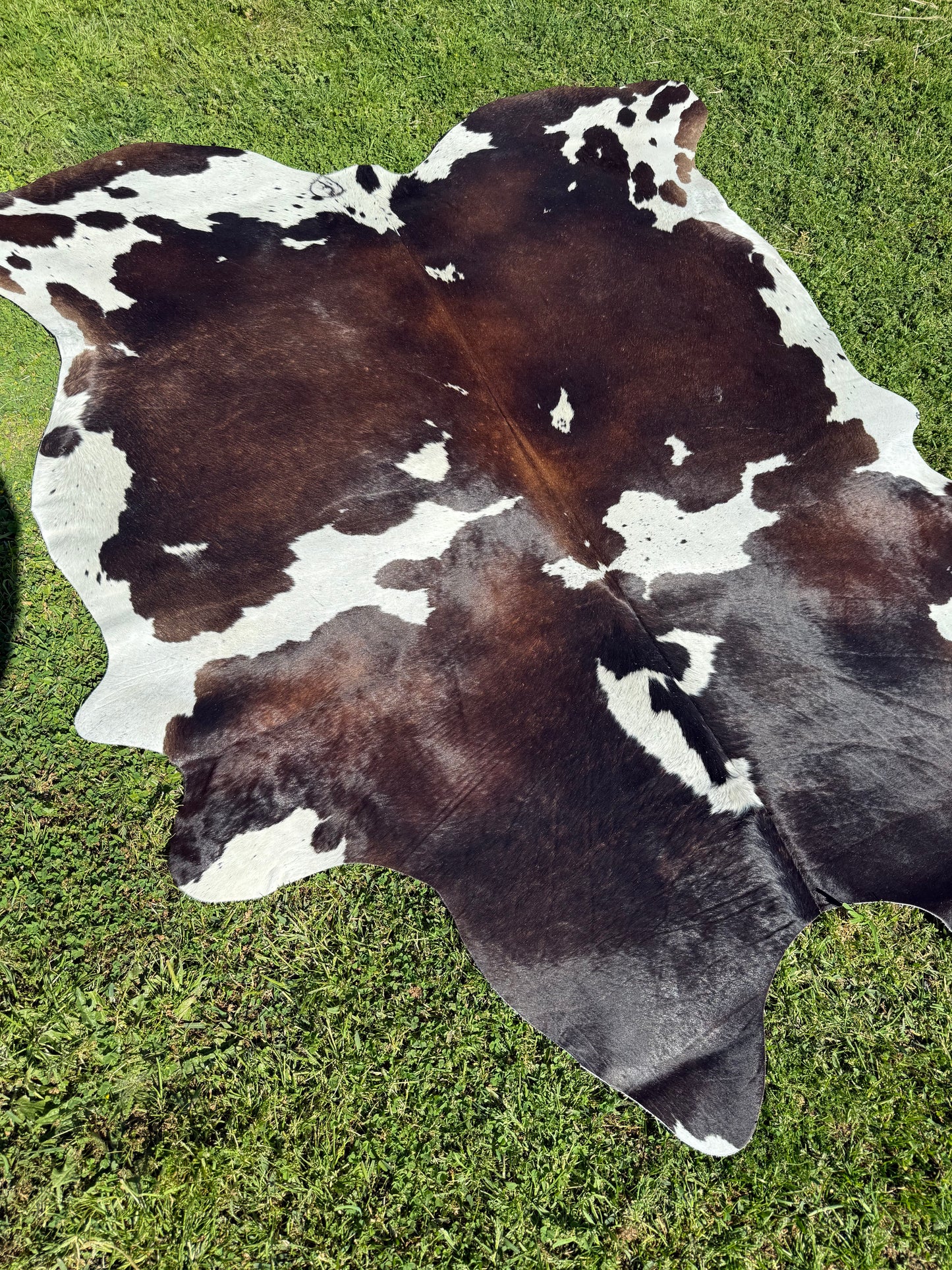 Cowhide Rug 339