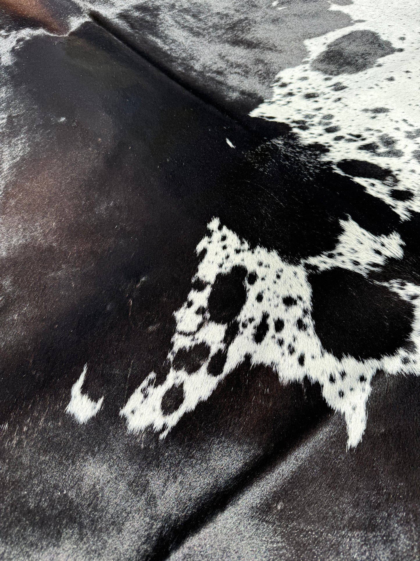 Cowhide Rug 340