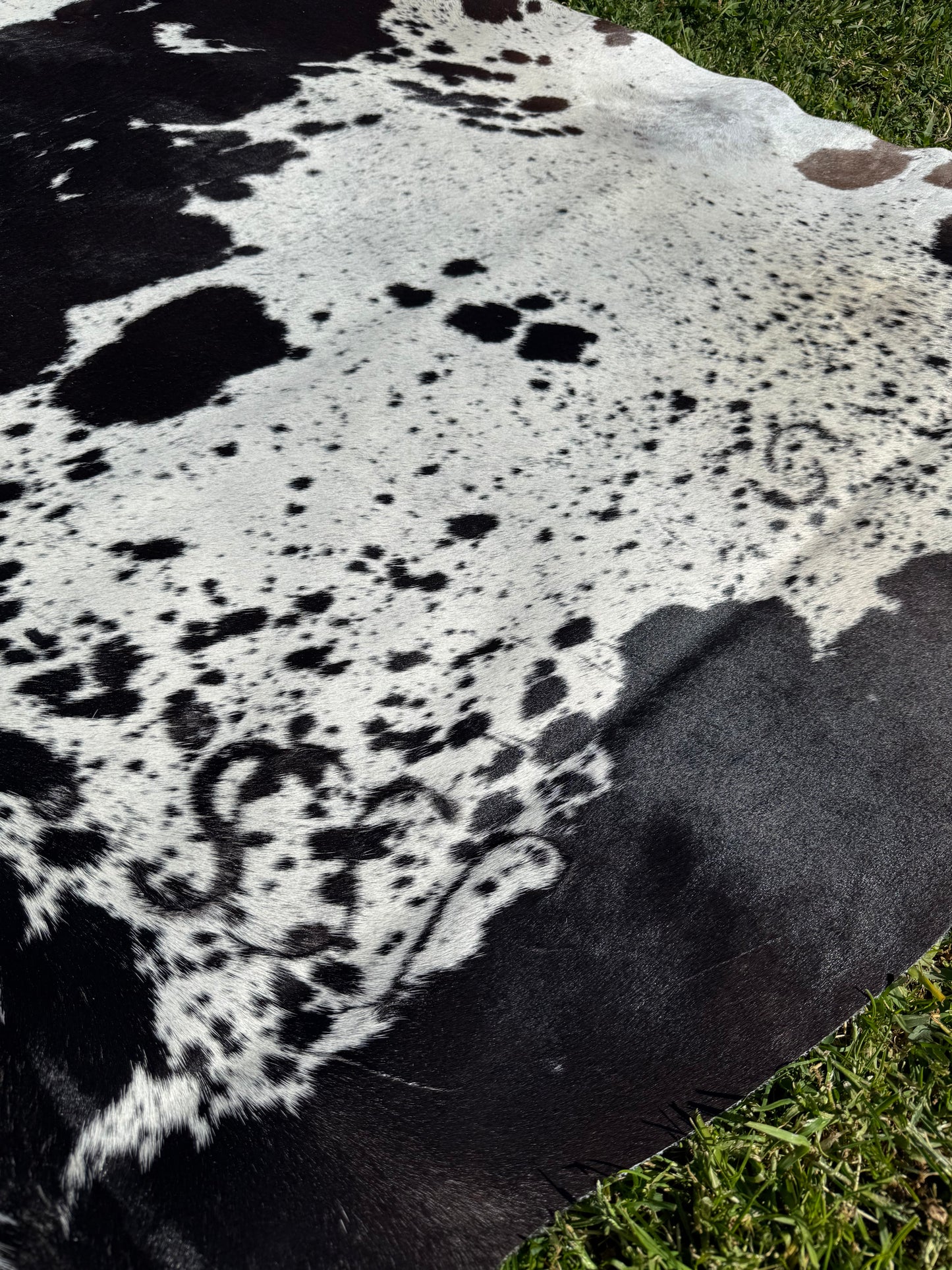 Cowhide Rug 340