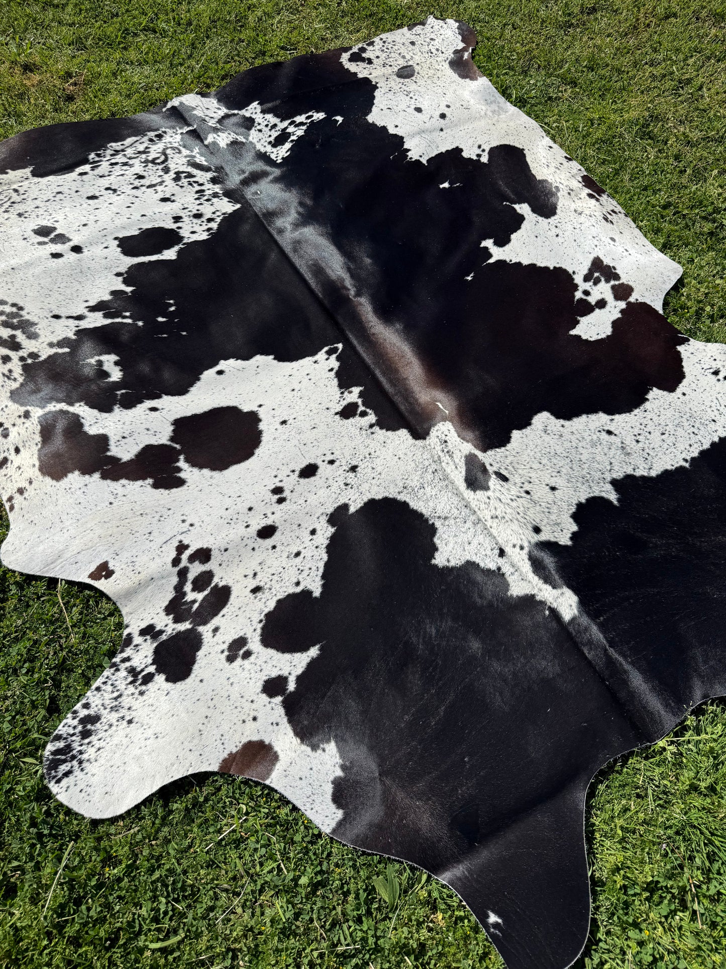 Cowhide Rug 340