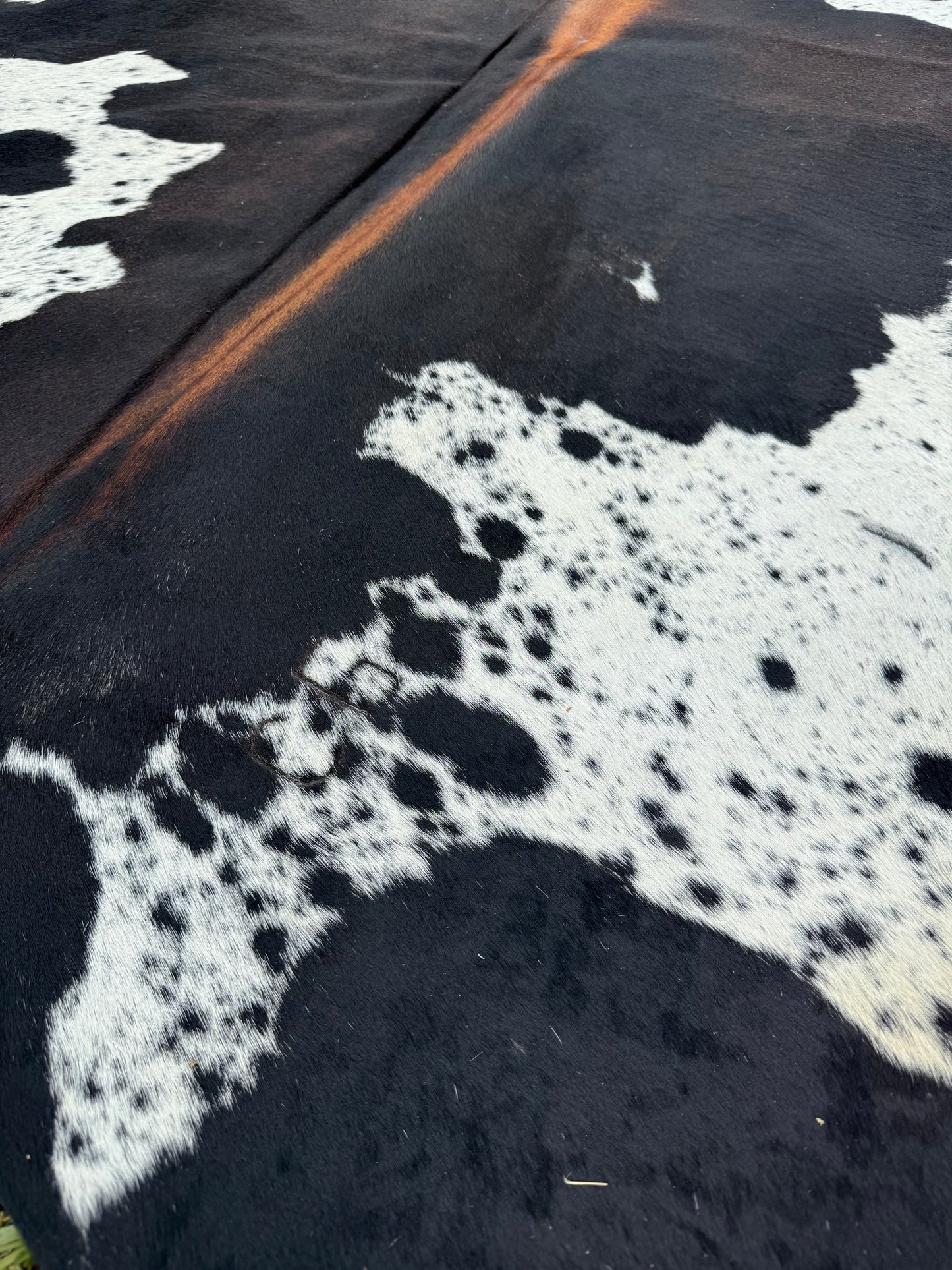 Cowhide Rug 347