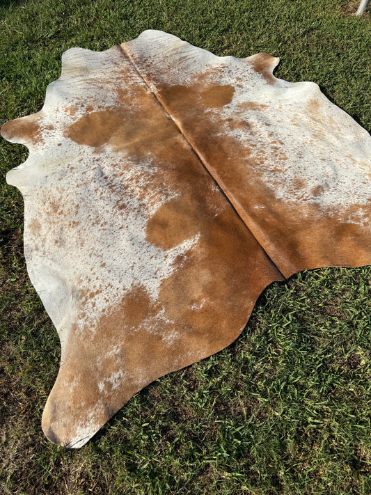 Cowhide Rug 355