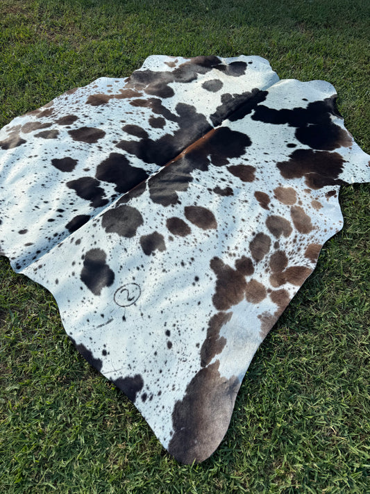 Cowhide Rug 356